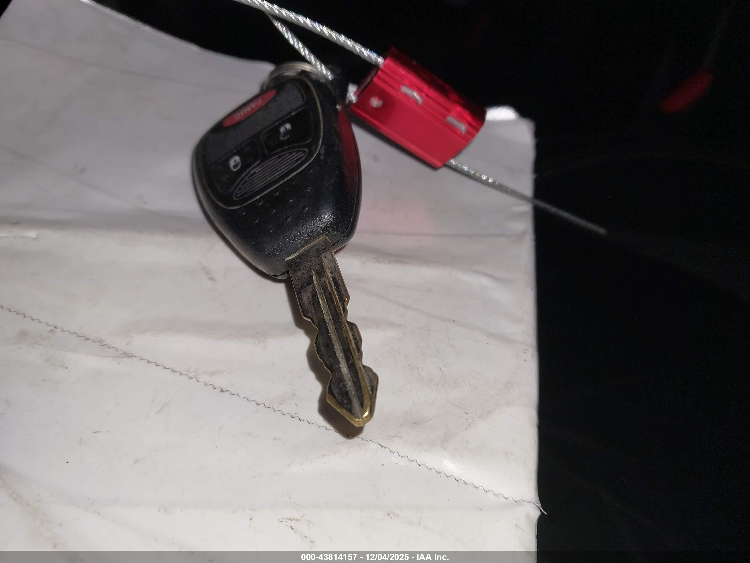 JEEP WRANGLER image 11