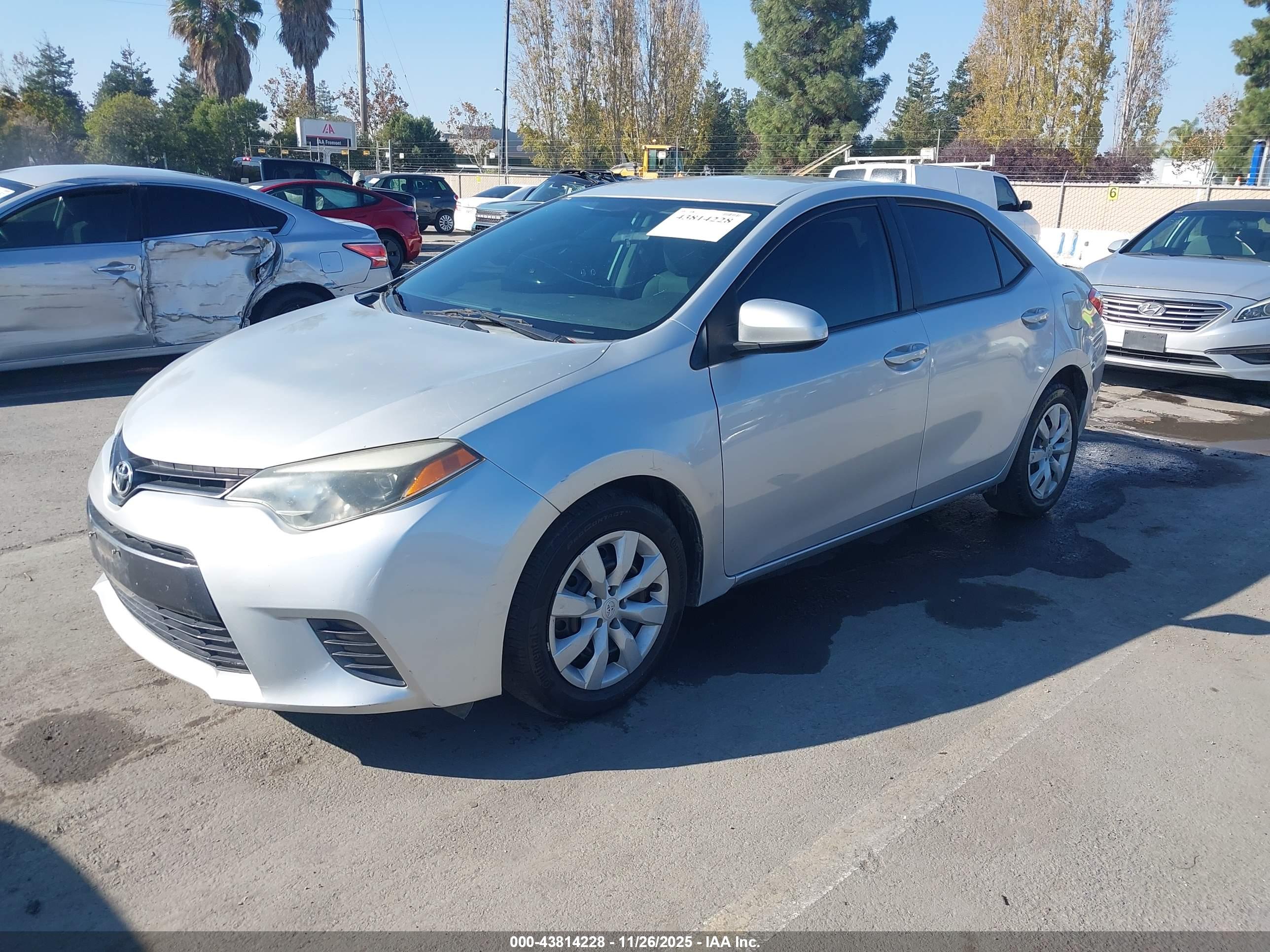 TOYOTA COROLLA image 2