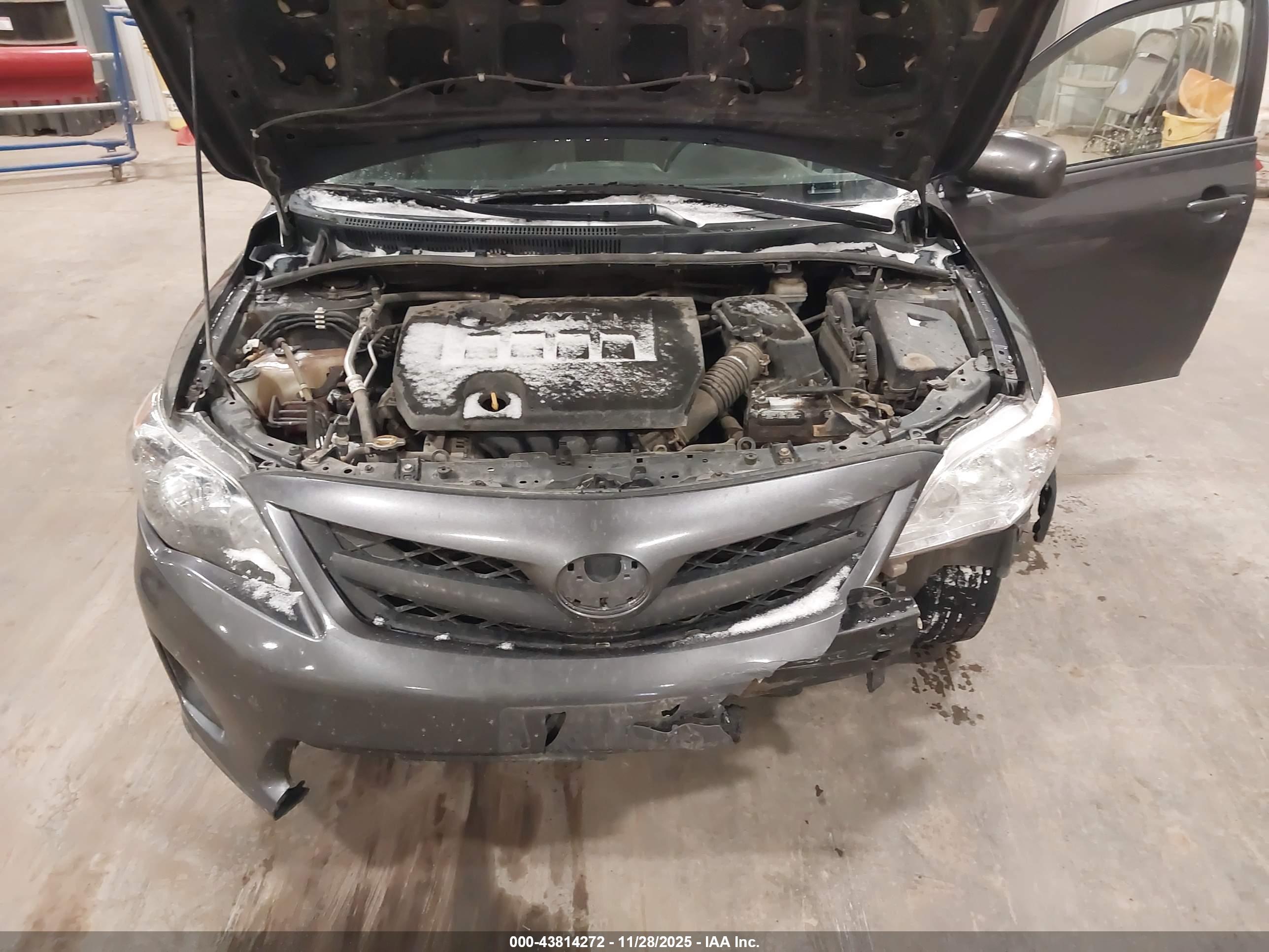 TOYOTA COROLLA image 10