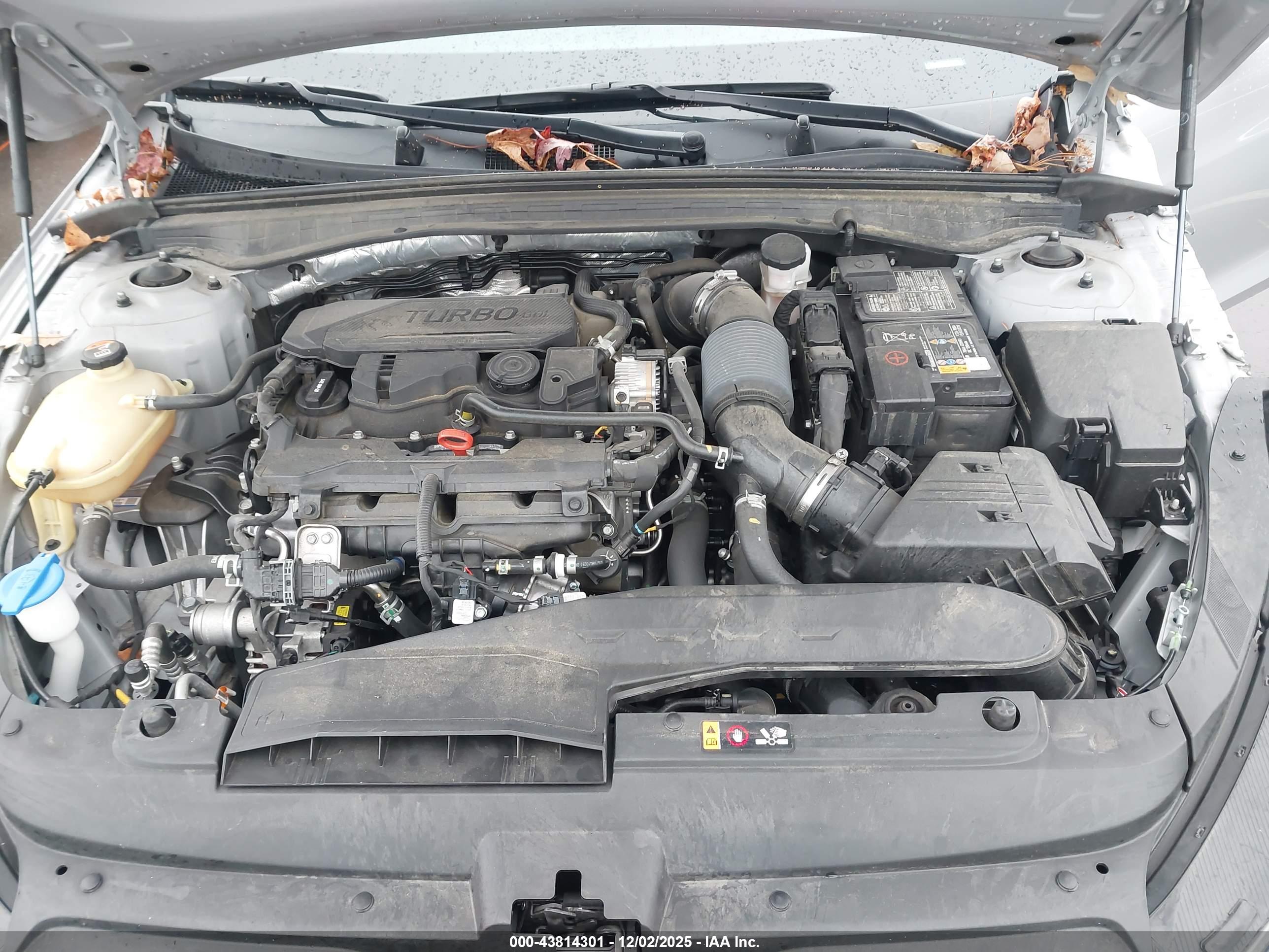 KIA K5 image 10