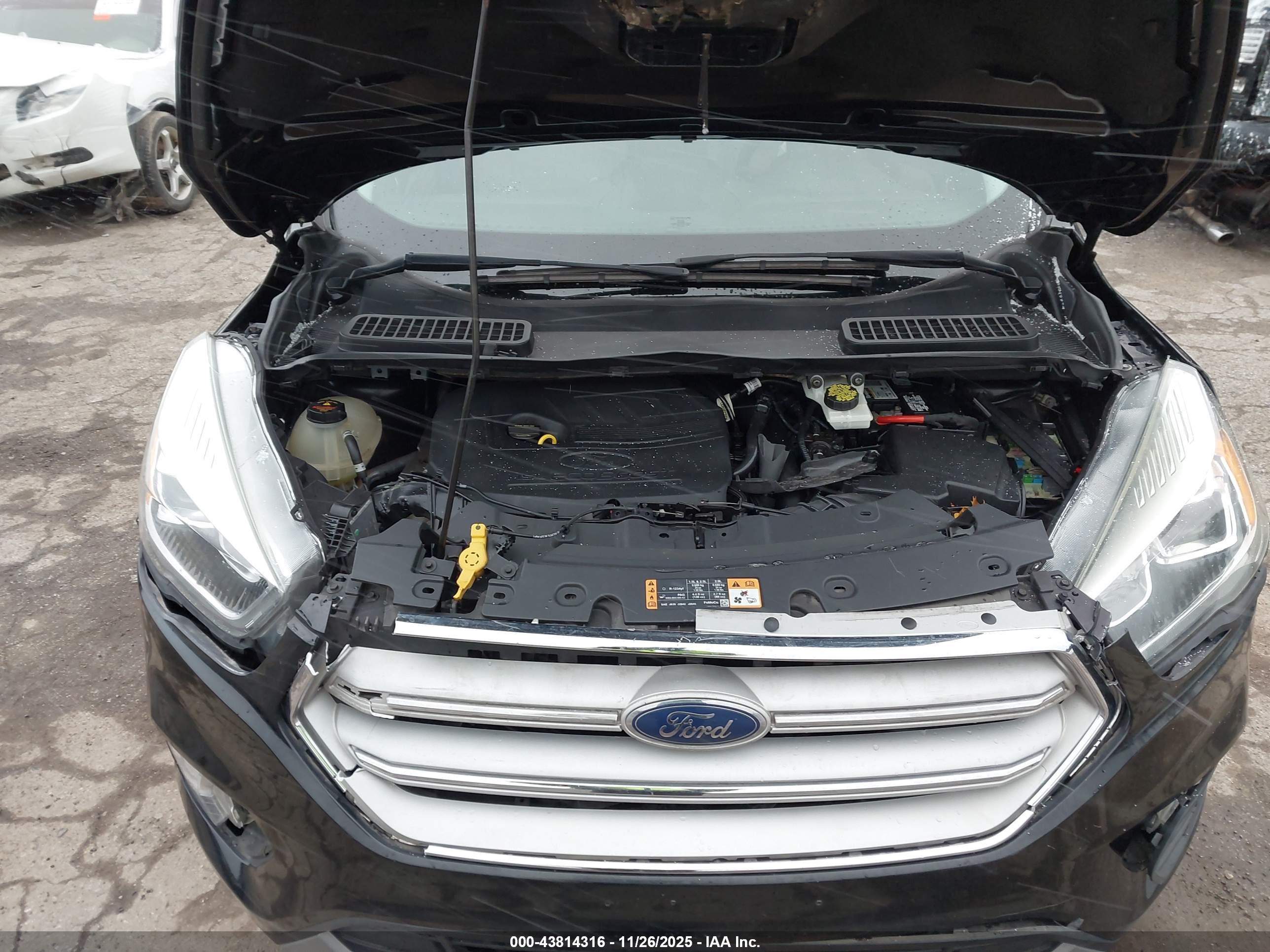 FORD ESCAPE image 10