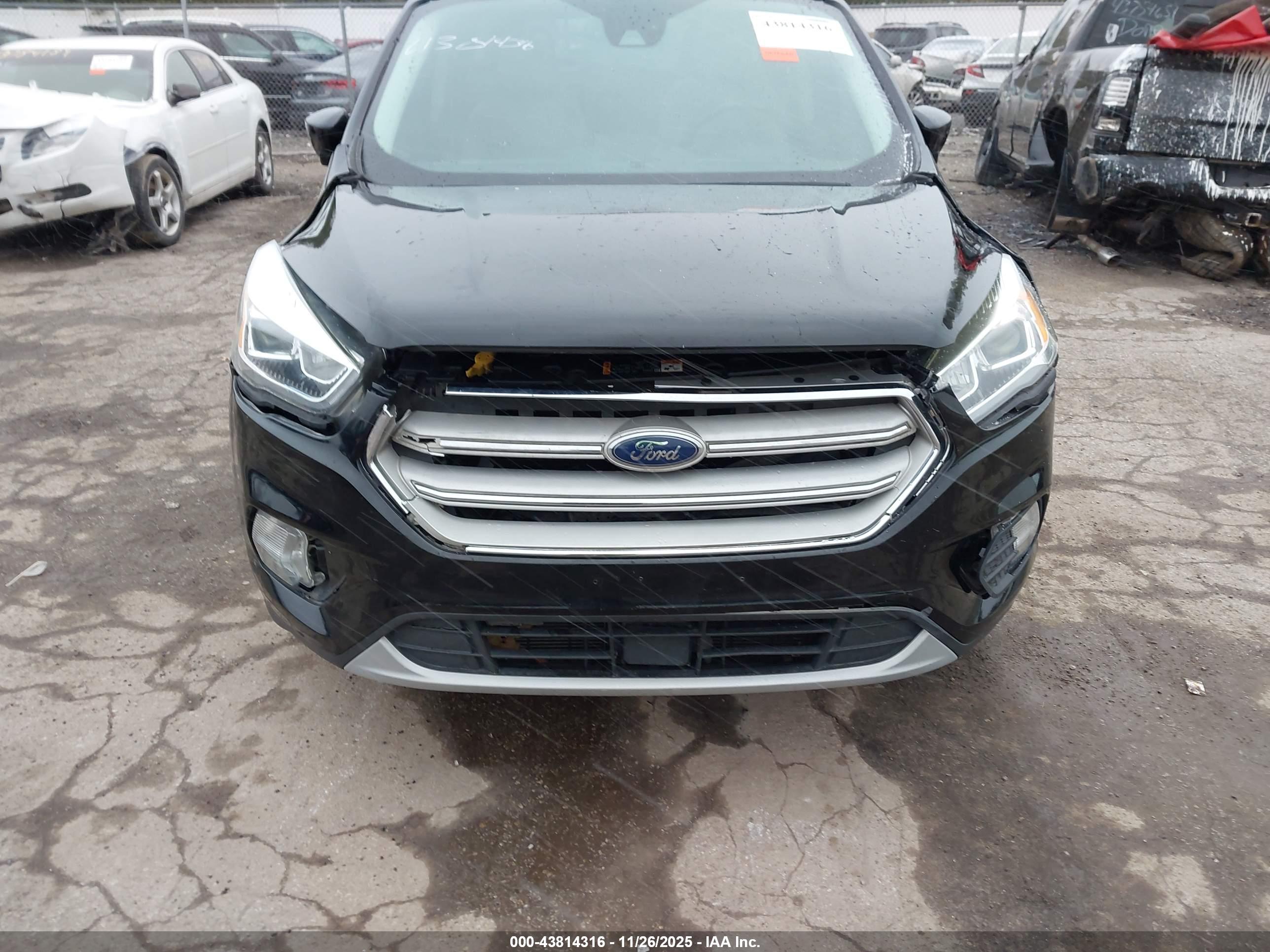 FORD ESCAPE image 6