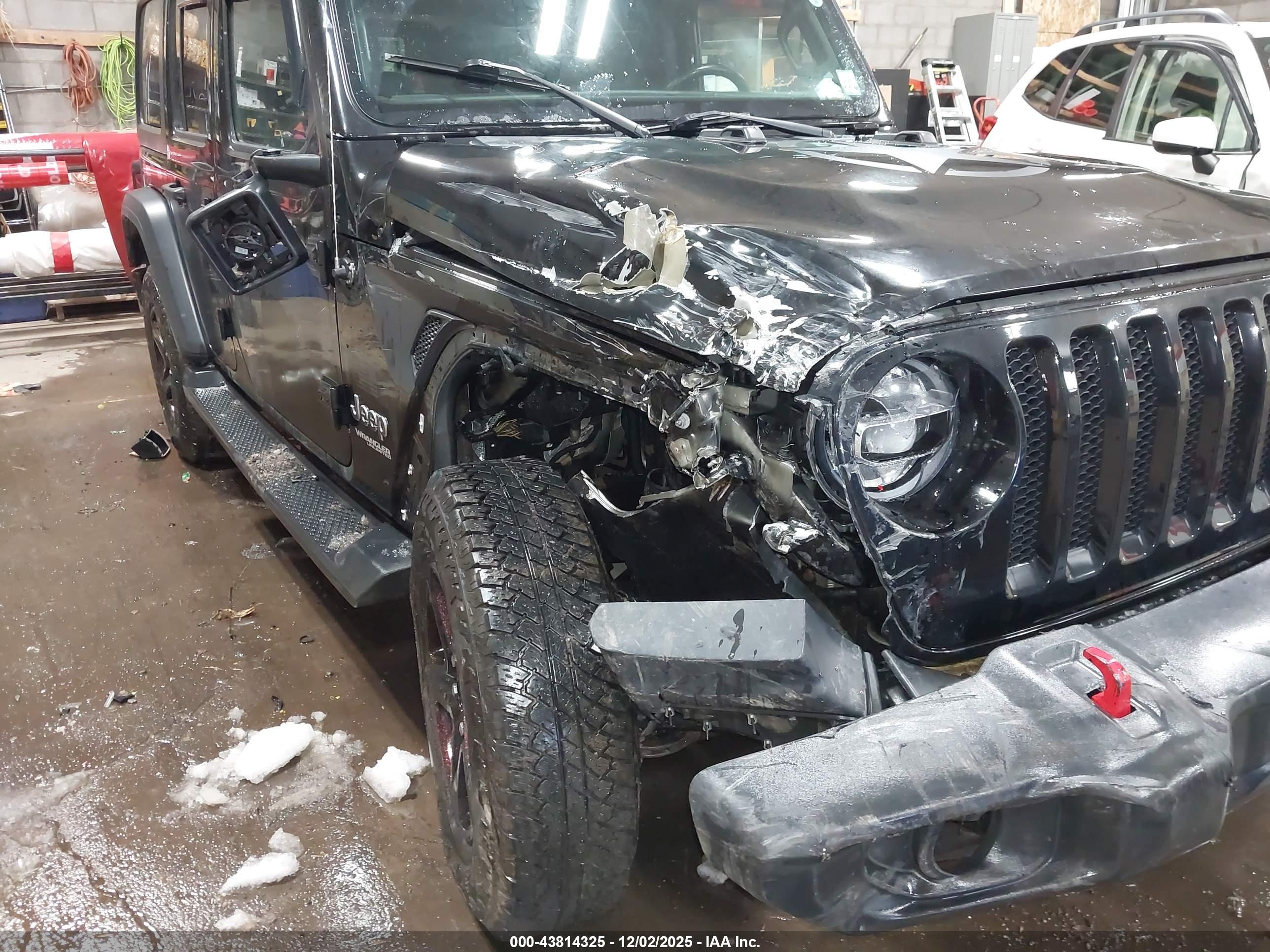 JEEP WRANGLER image 6