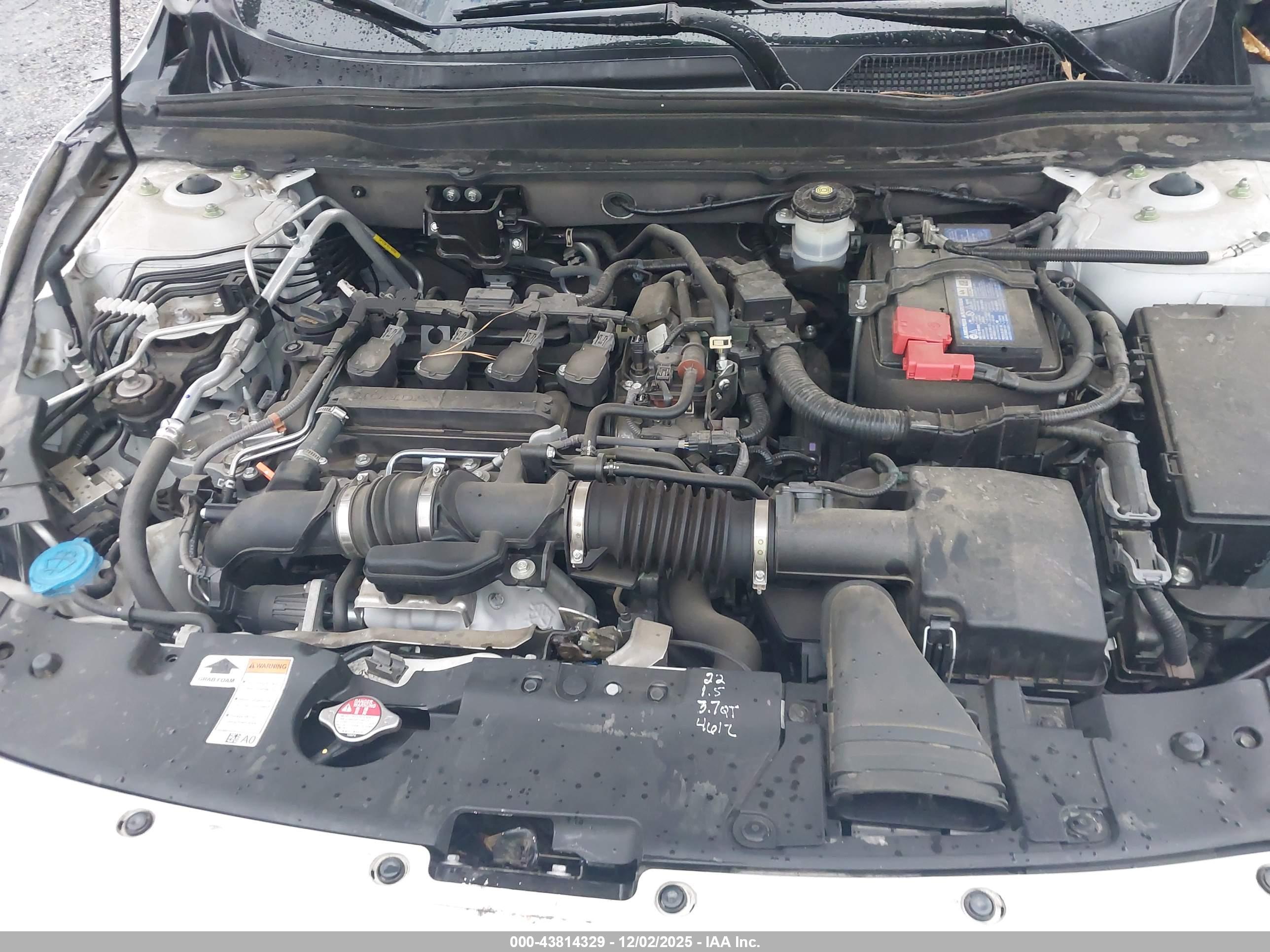 HONDA ACCORD image 10