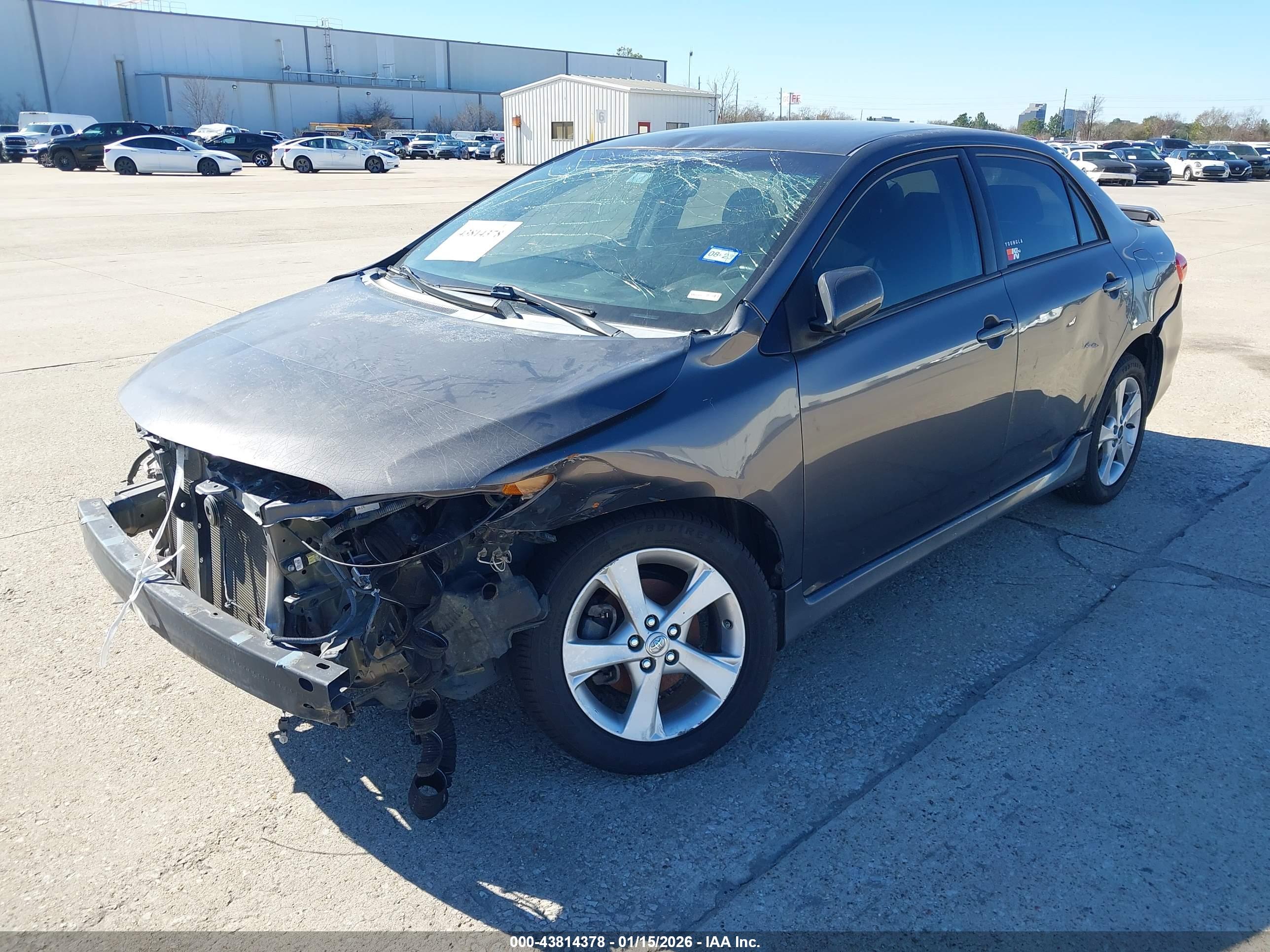 TOYOTA COROLLA image 2