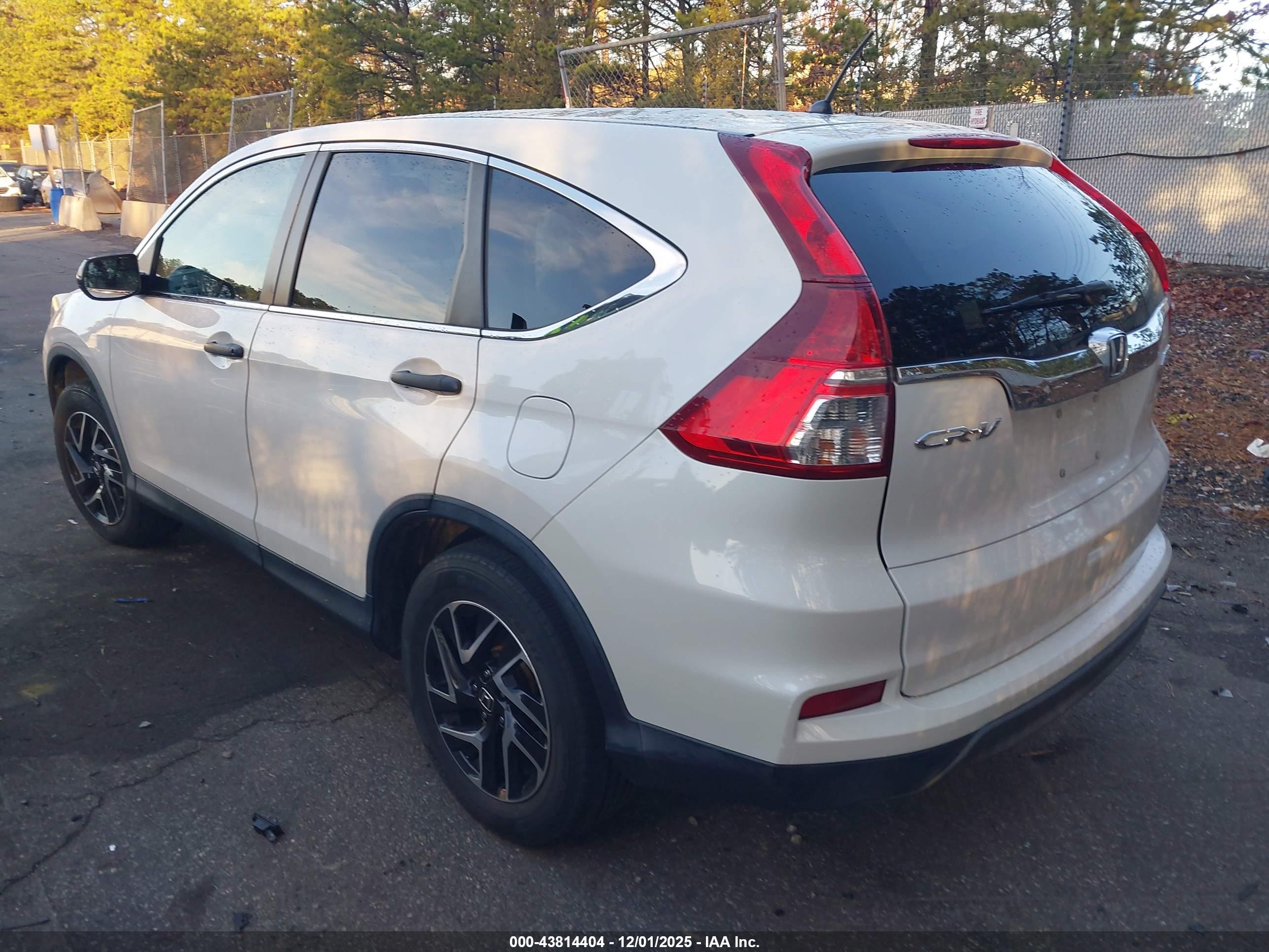 HONDA CR-V image 3