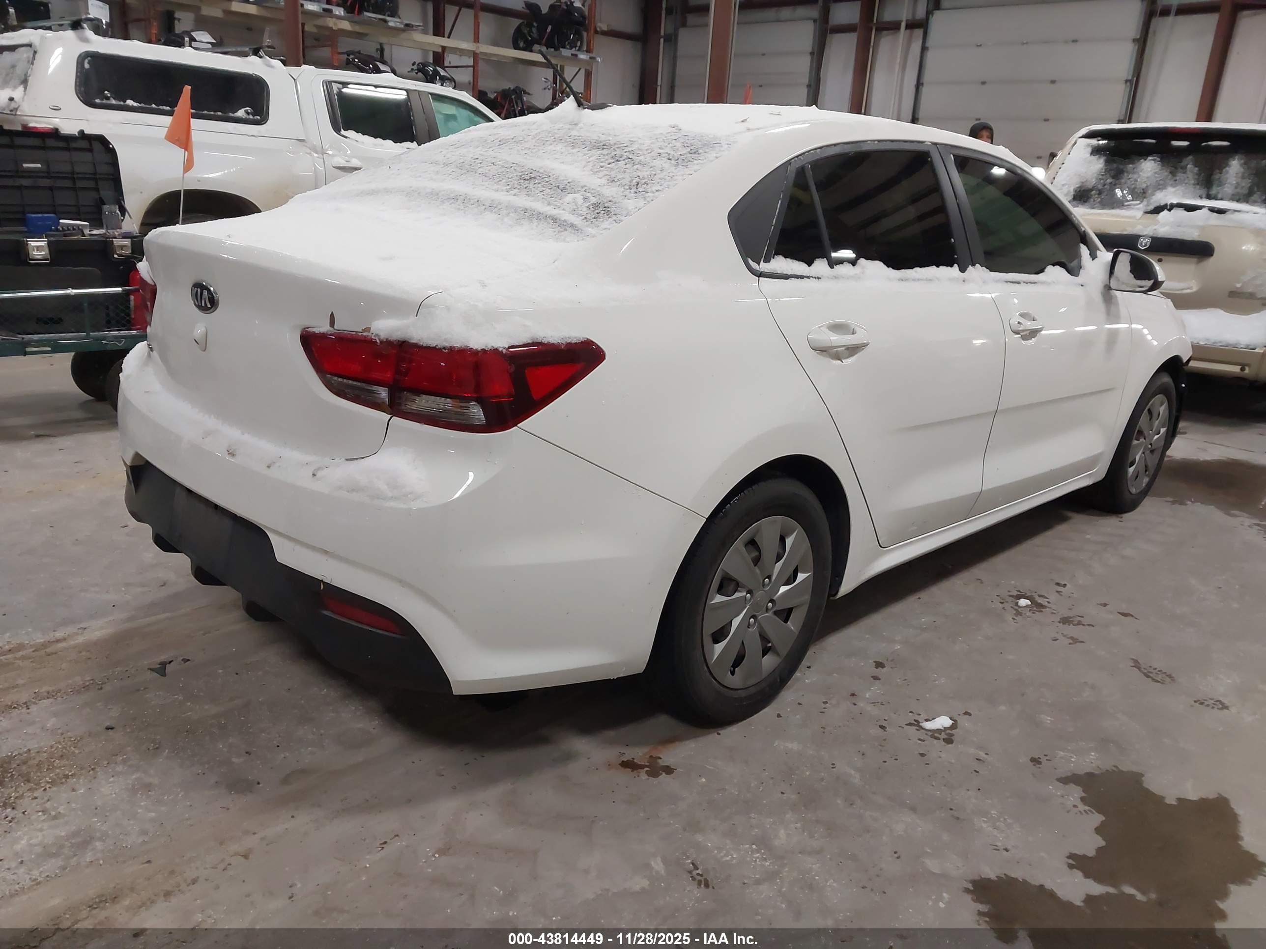 KIA RIO image 4