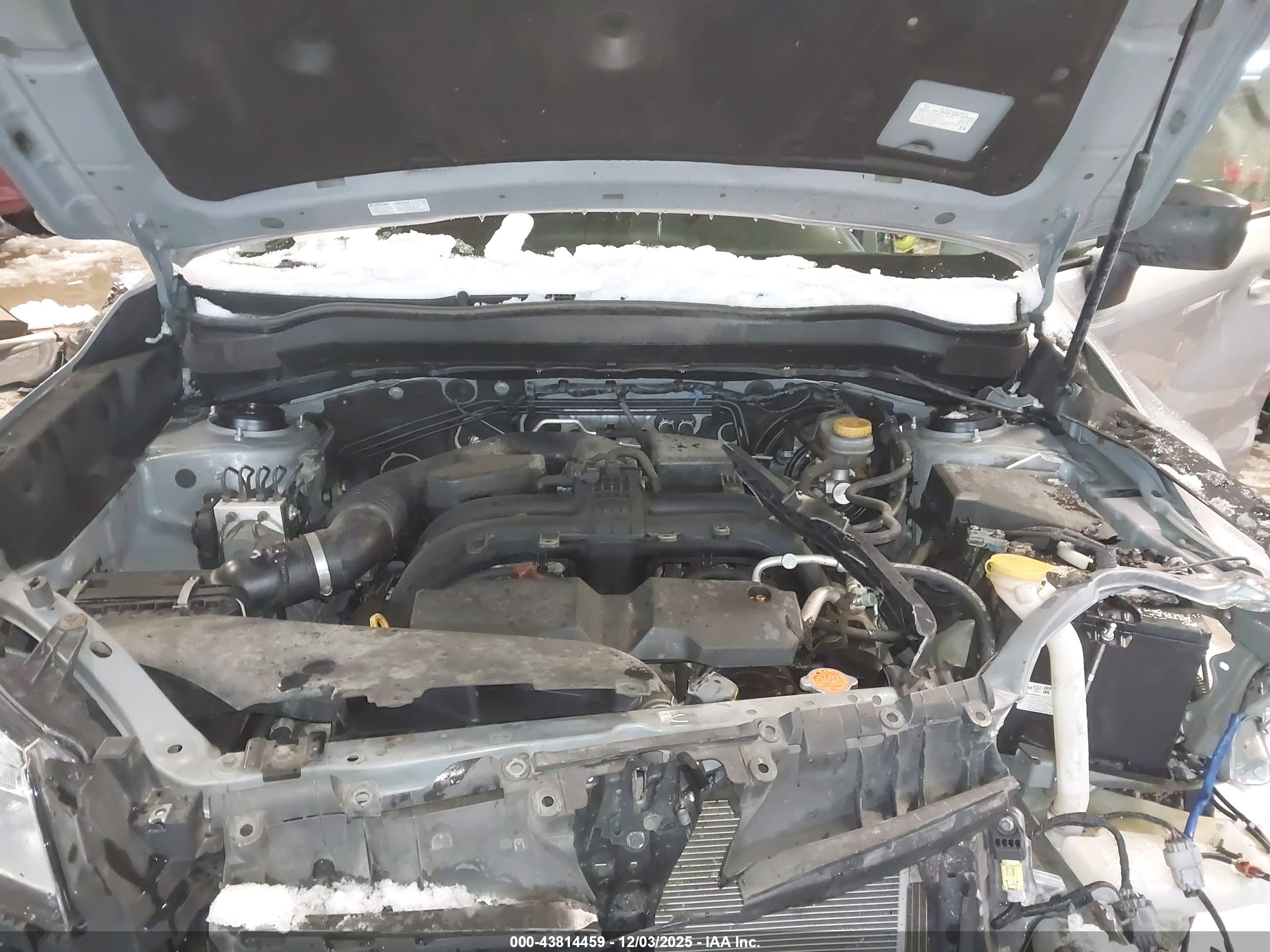 SUBARU FORESTER image 10