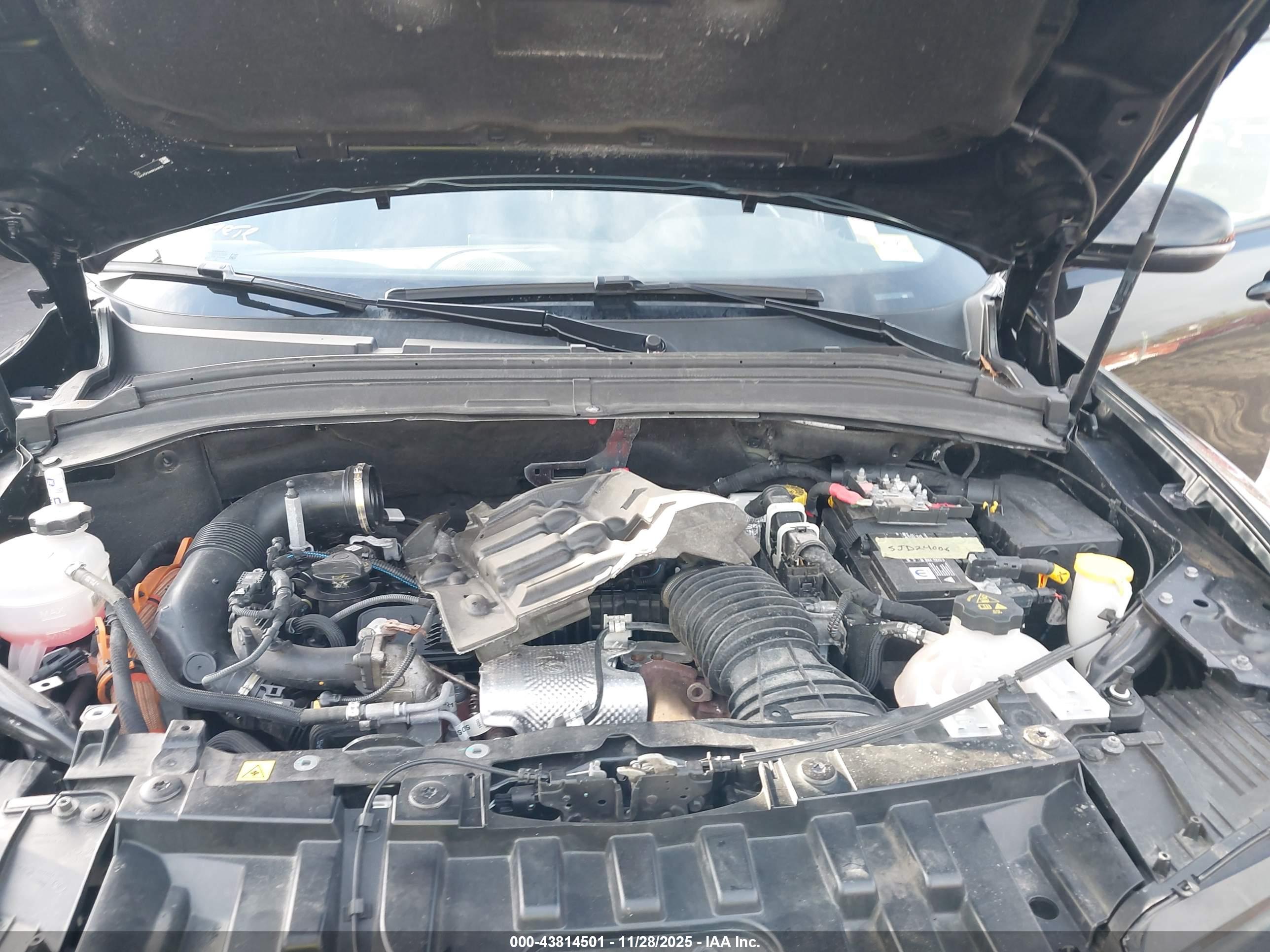 DODGE HORNET image 10