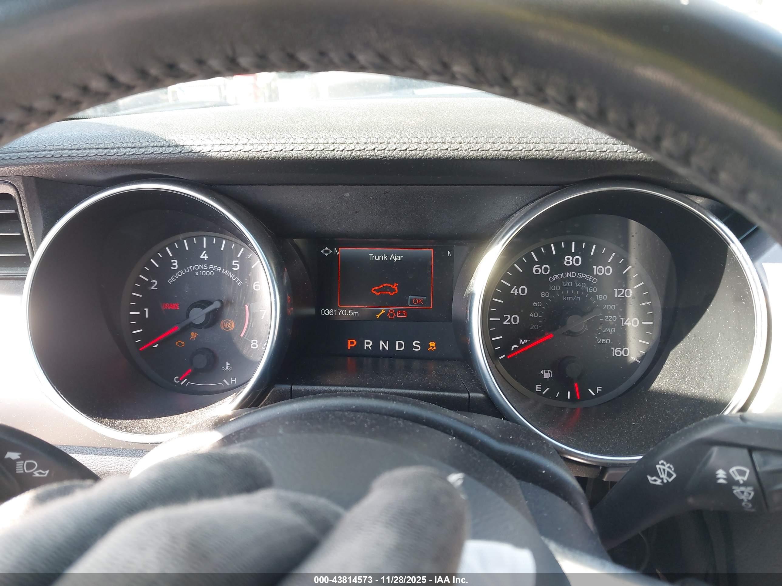FORD MUSTANG image 7