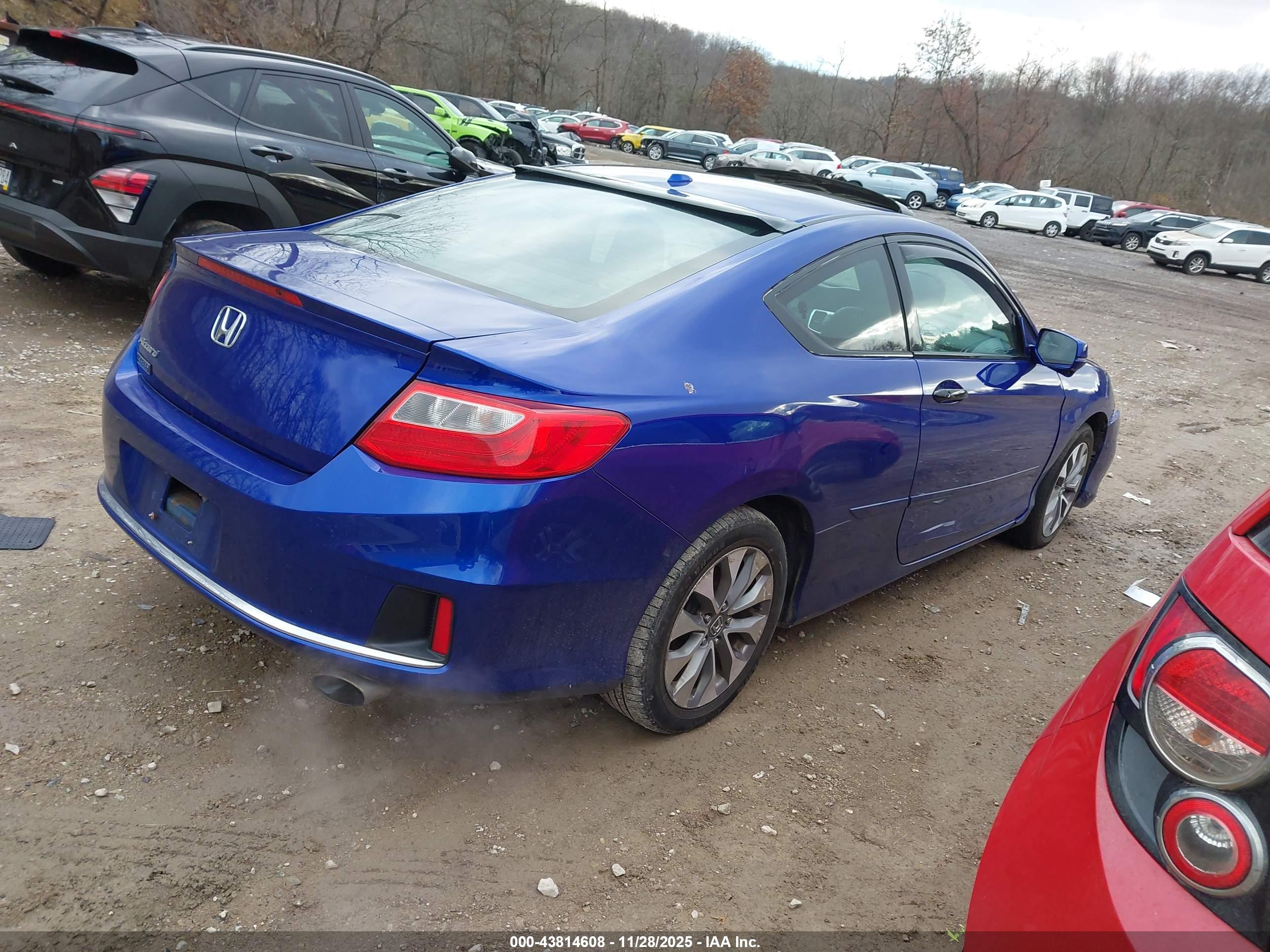 HONDA ACCORD image 4