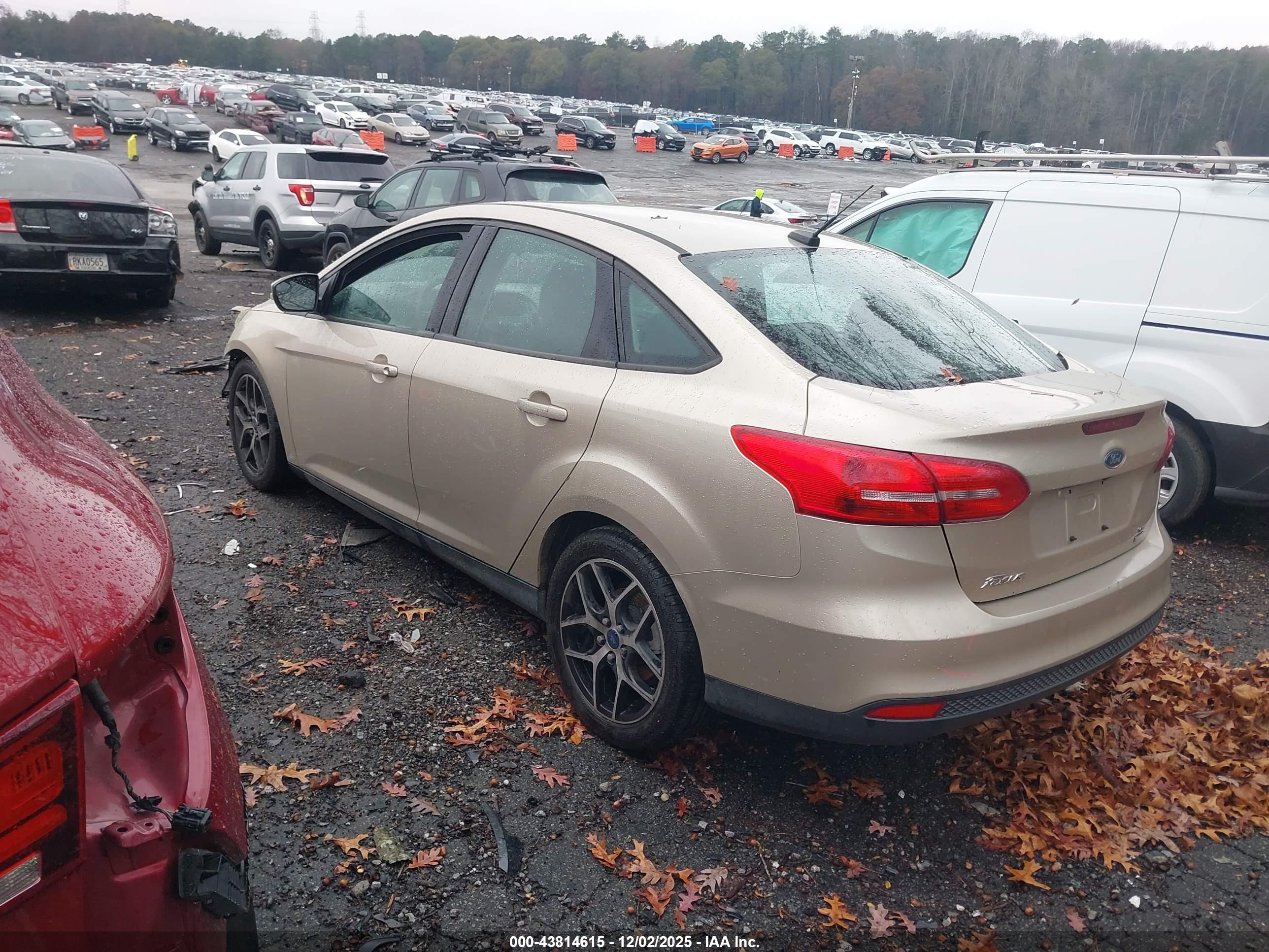 FORD FOCUS image 3