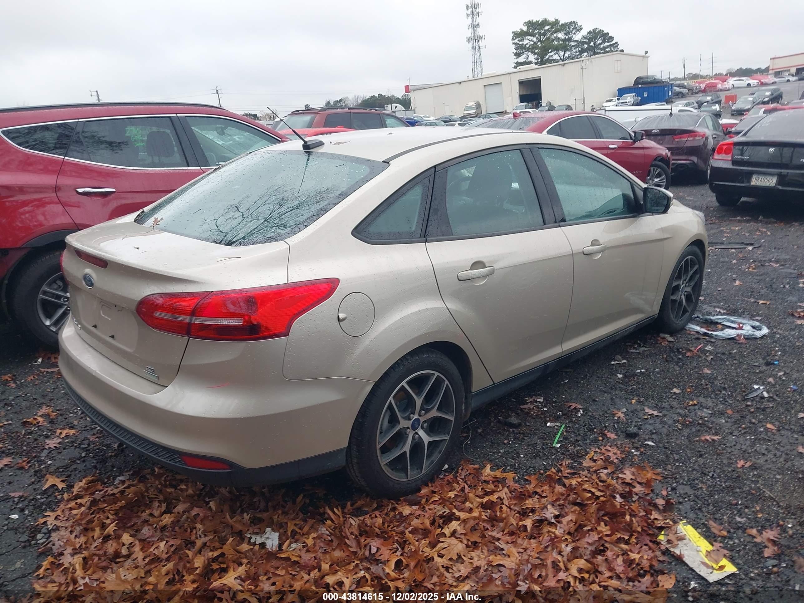 FORD FOCUS image 4