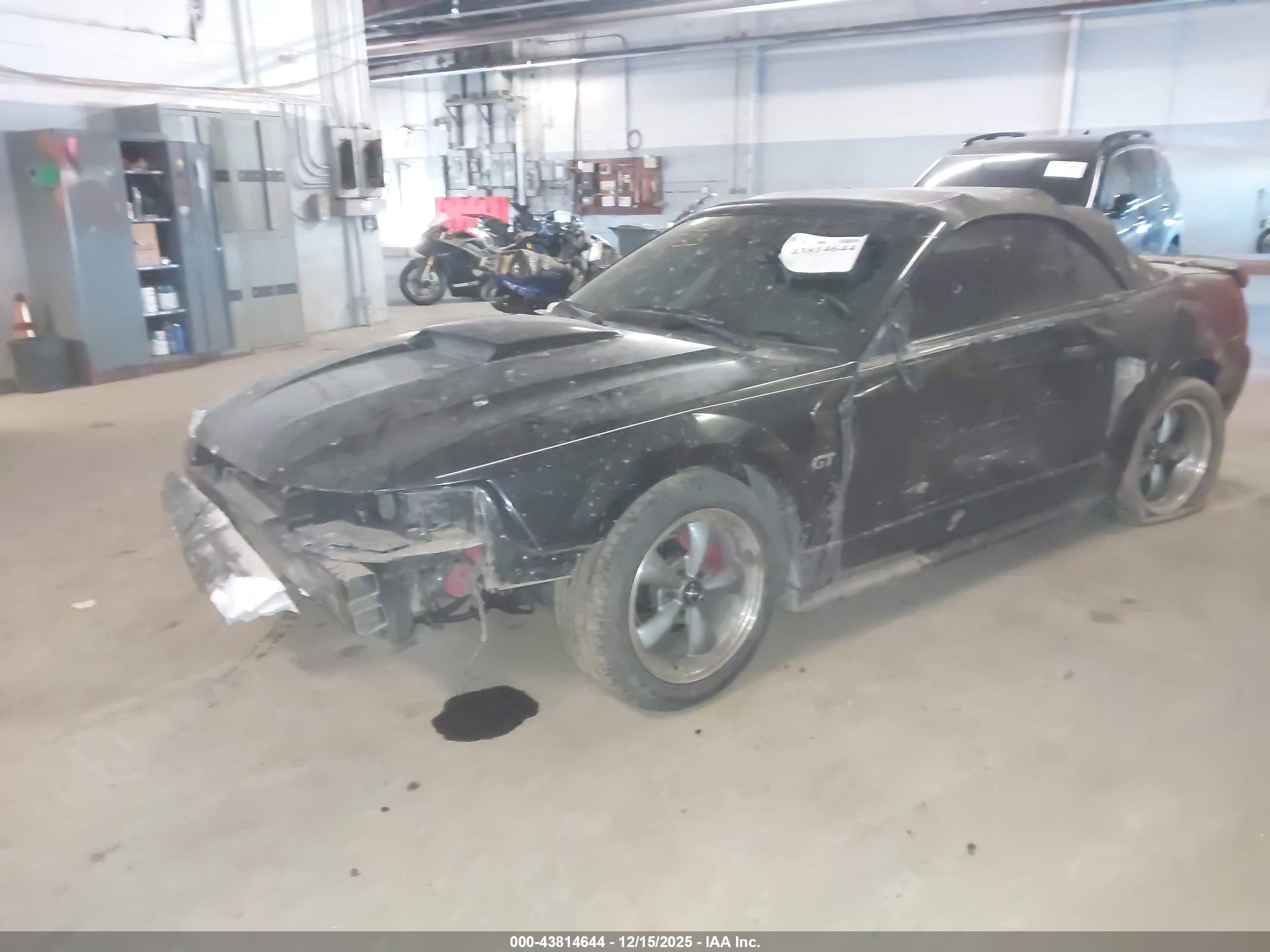 FORD MUSTANG image 2