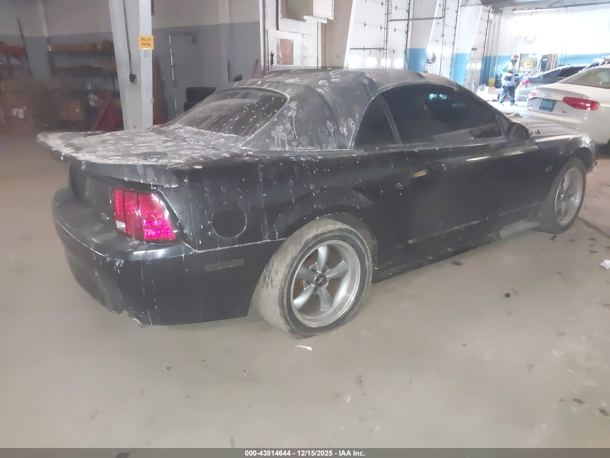 FORD MUSTANG image 4
