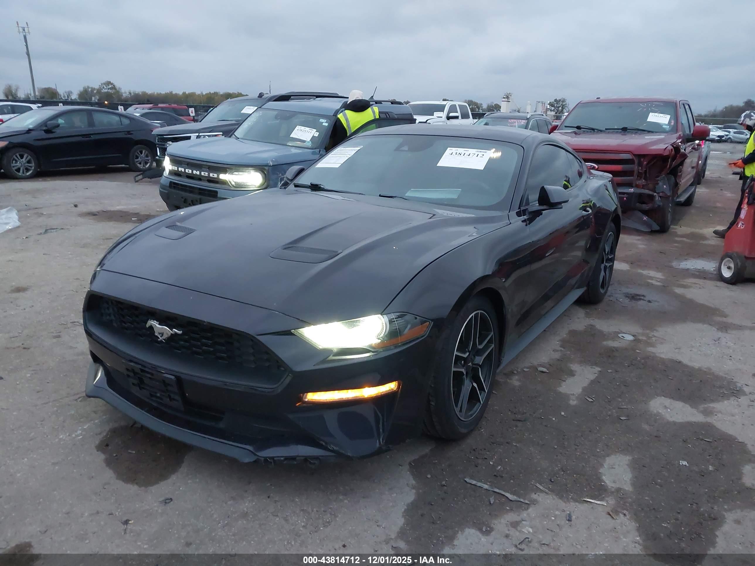 FORD MUSTANG image 2