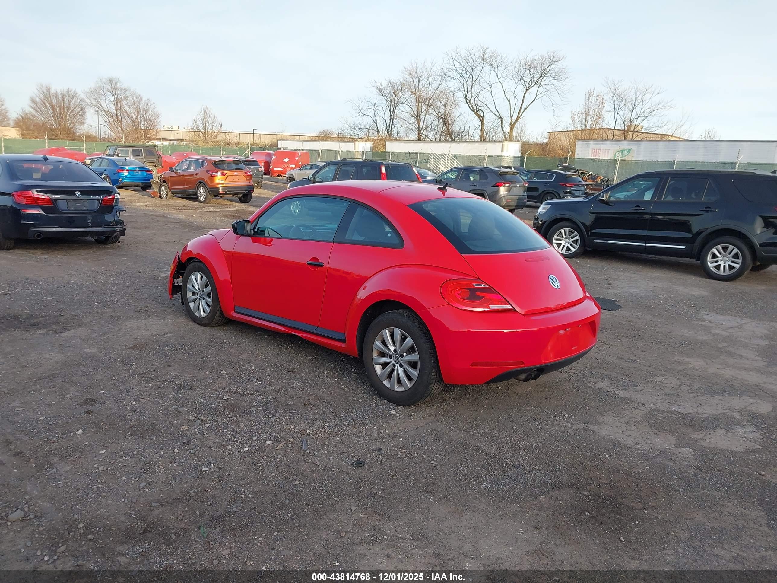 VOLKSWAGEN BEETLE image 3