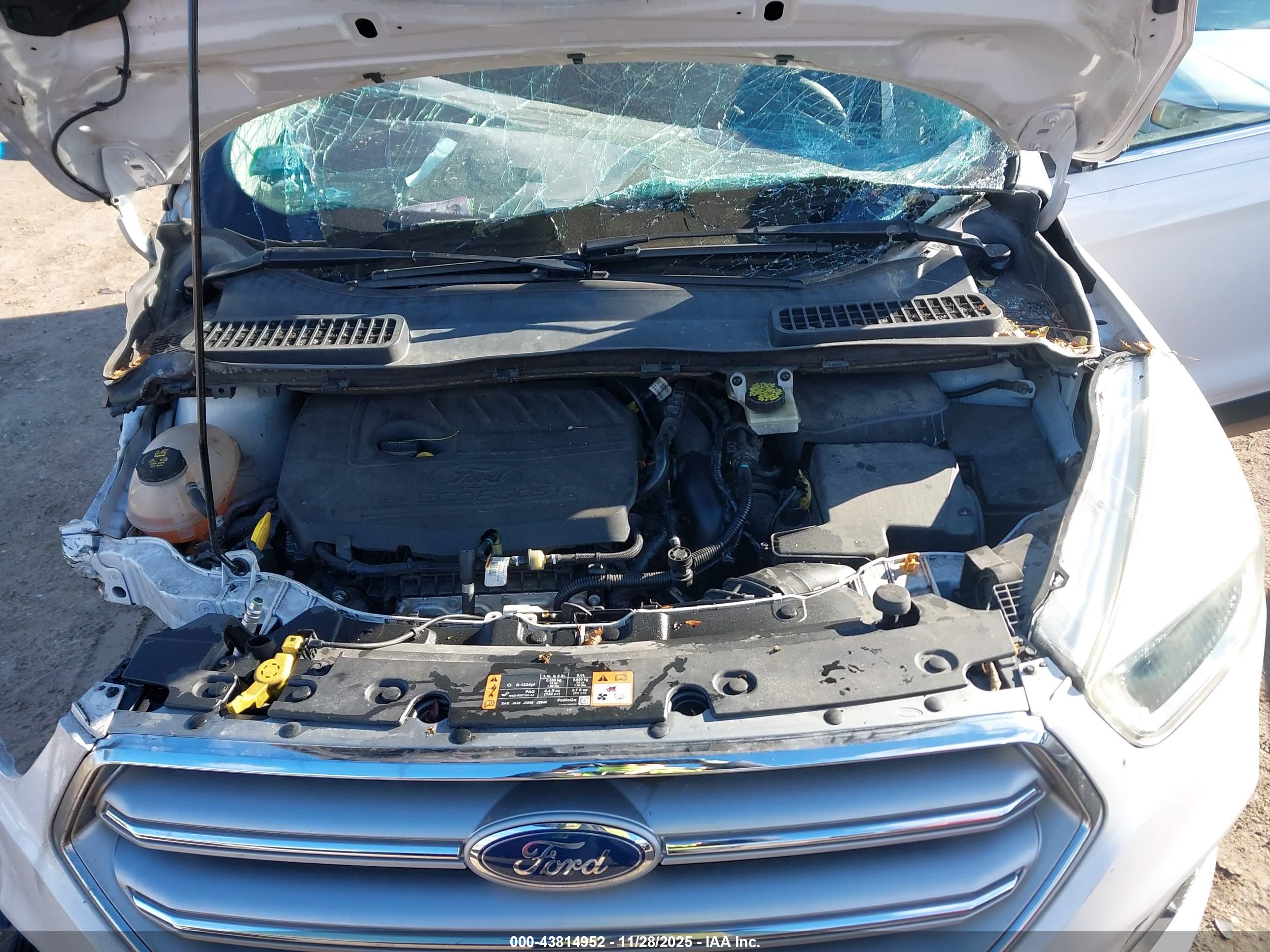 FORD ESCAPE image 10
