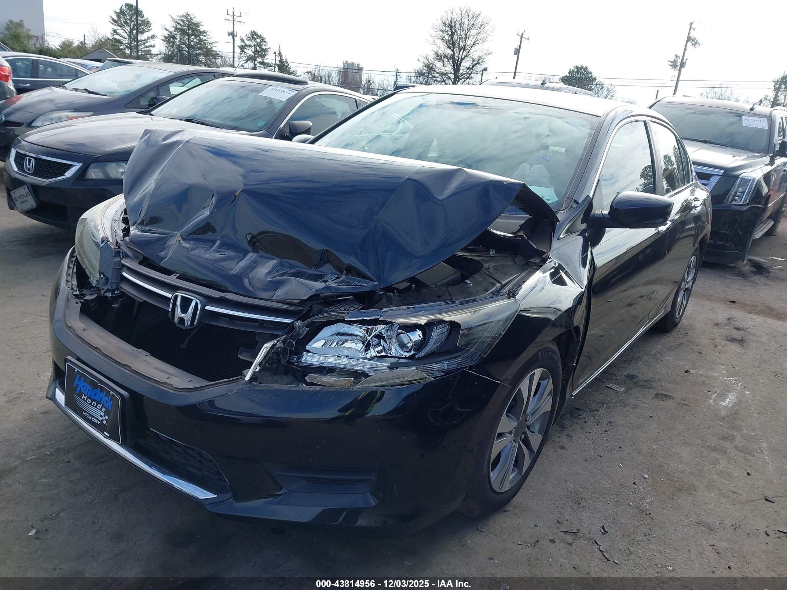 HONDA ACCORD image 2