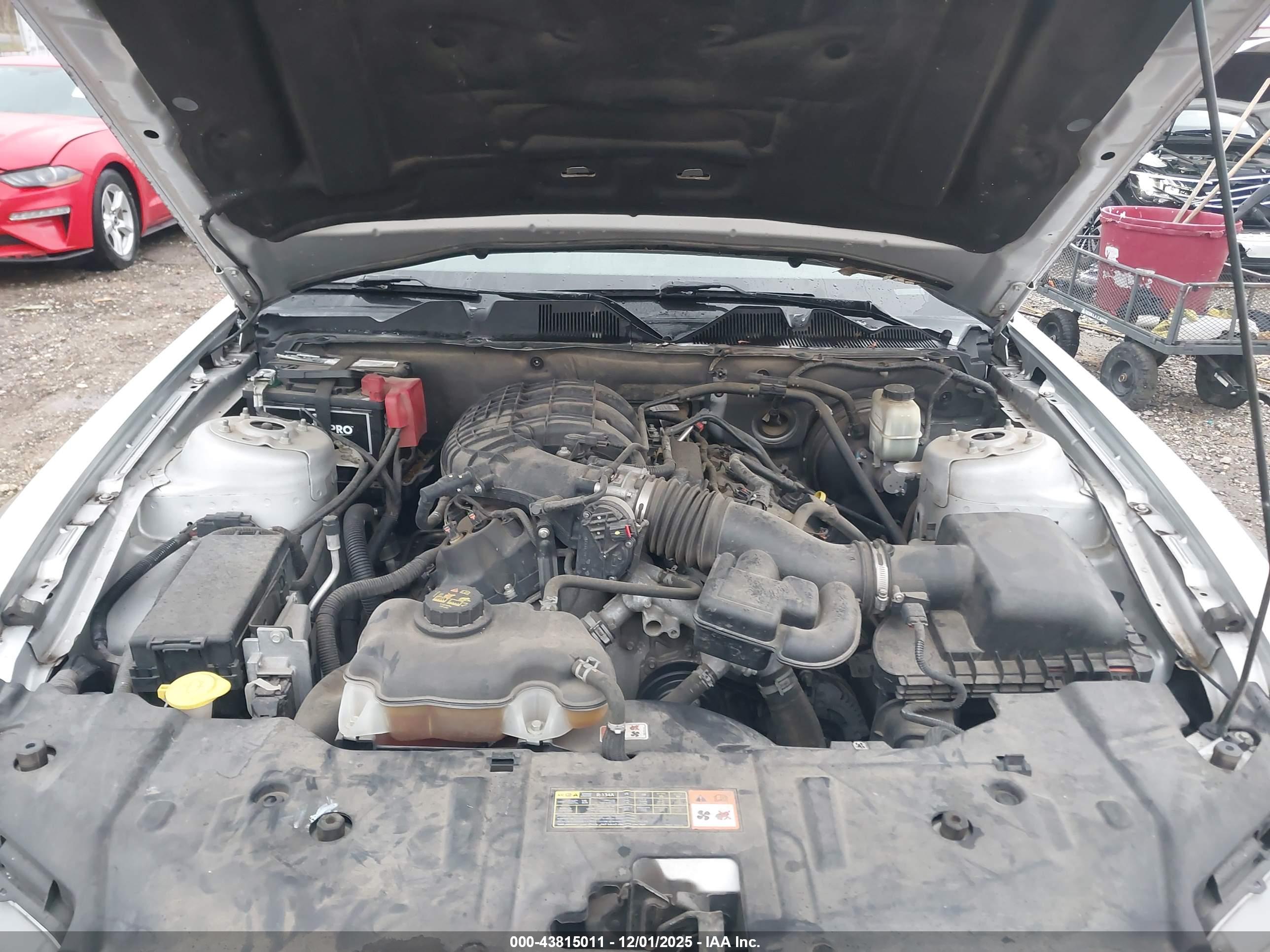 FORD MUSTANG image 10