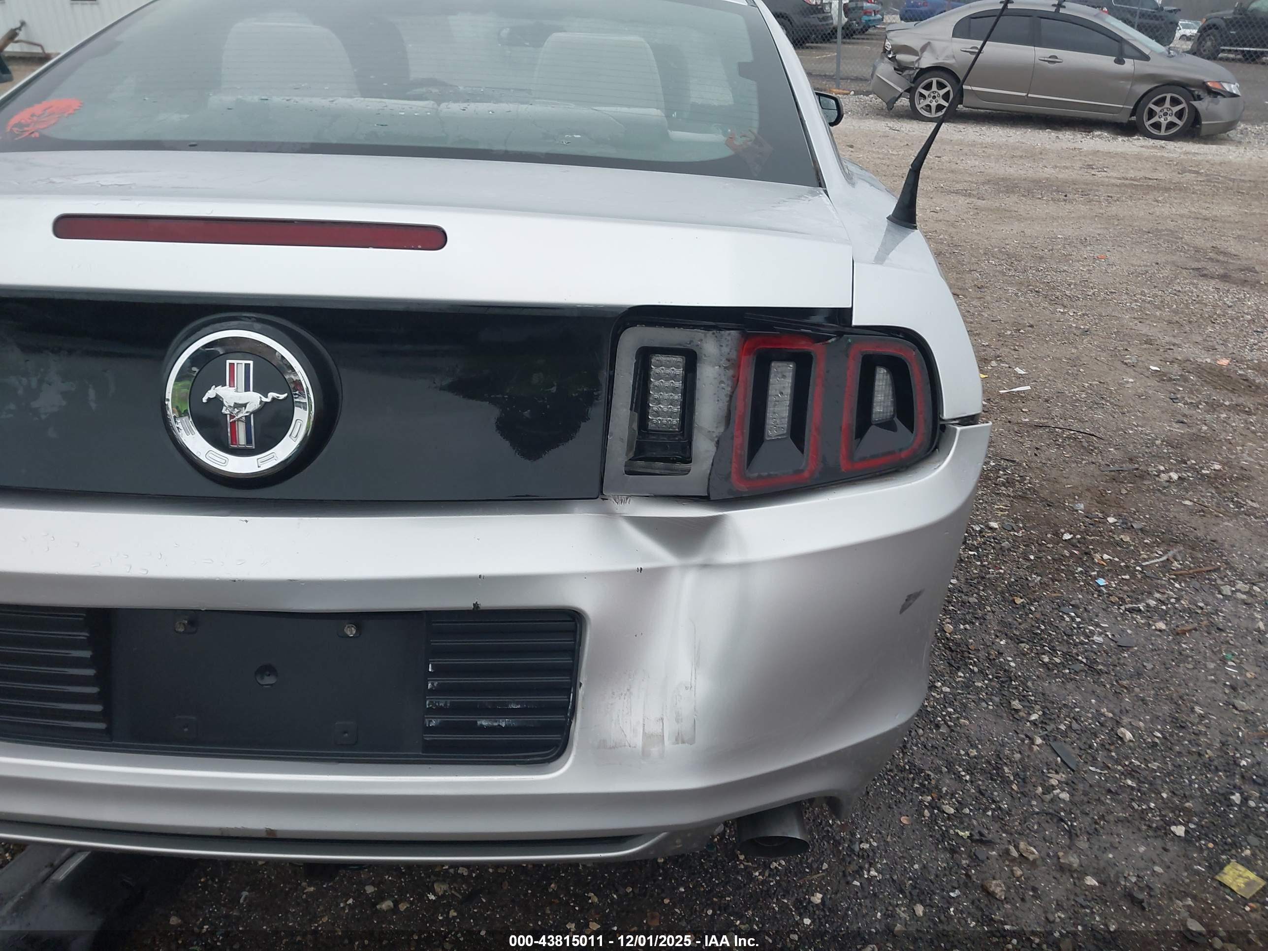 FORD MUSTANG image 6