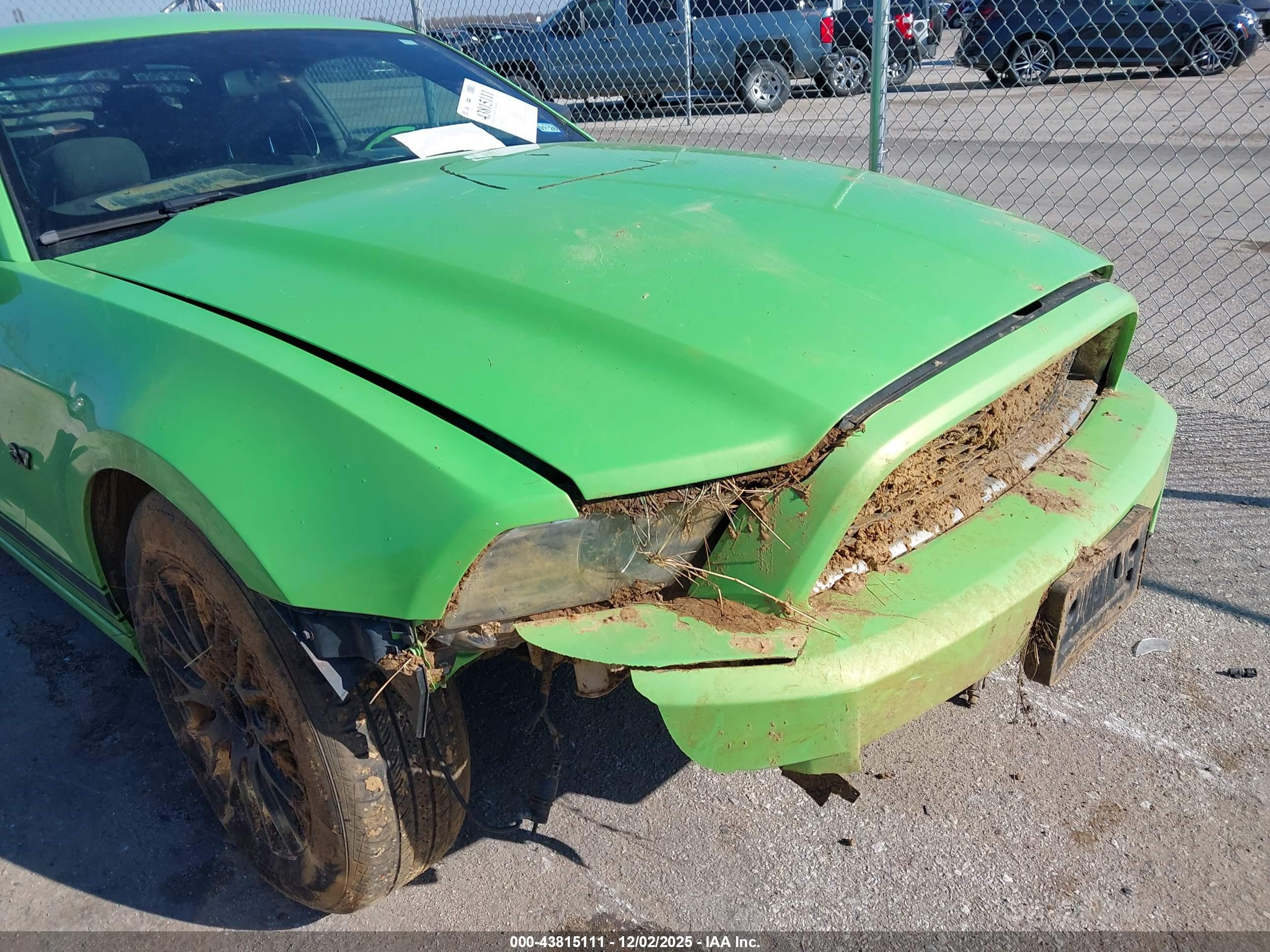 FORD MUSTANG image 6