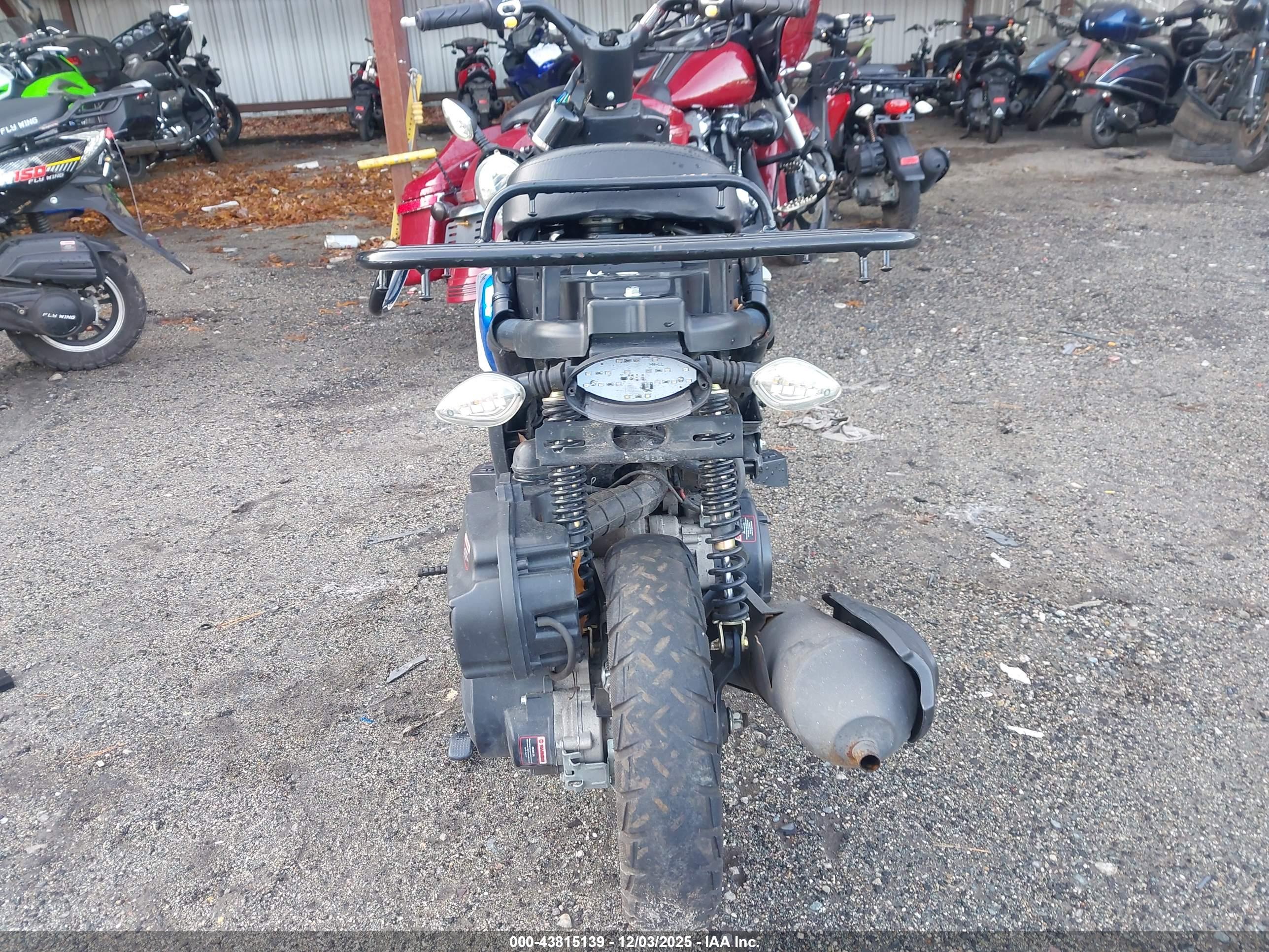 TZTC SCOOTER image 6