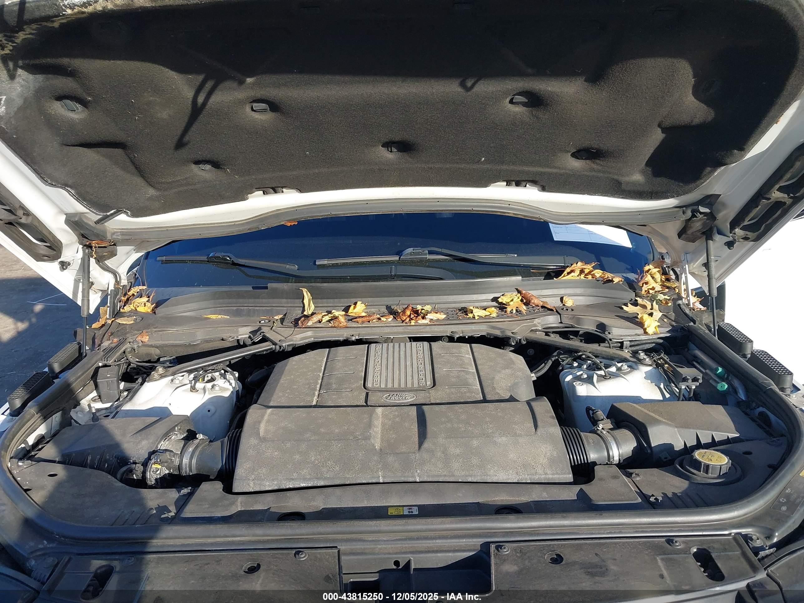 LAND ROVER image 10