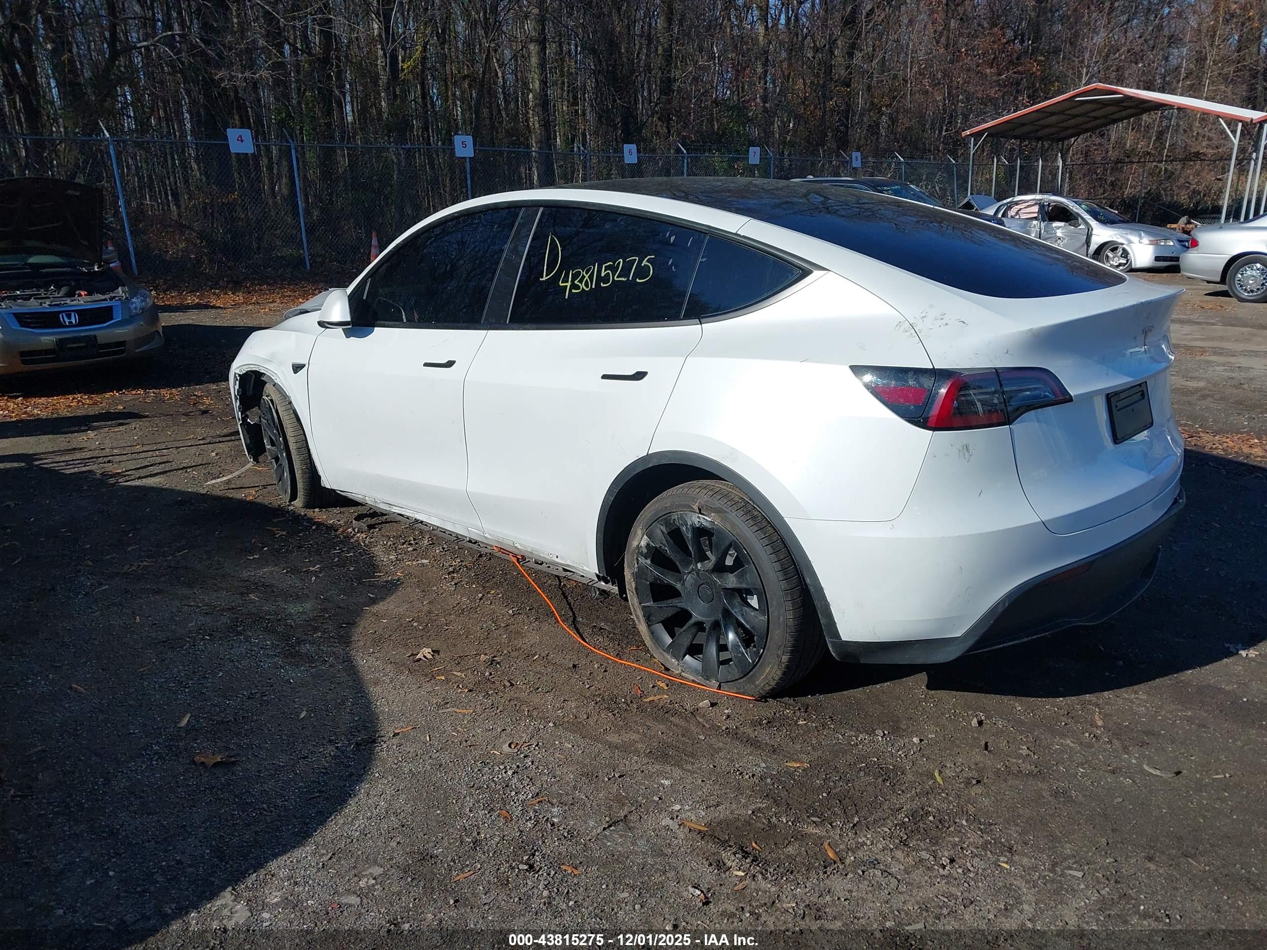 TESLA MODEL image 3