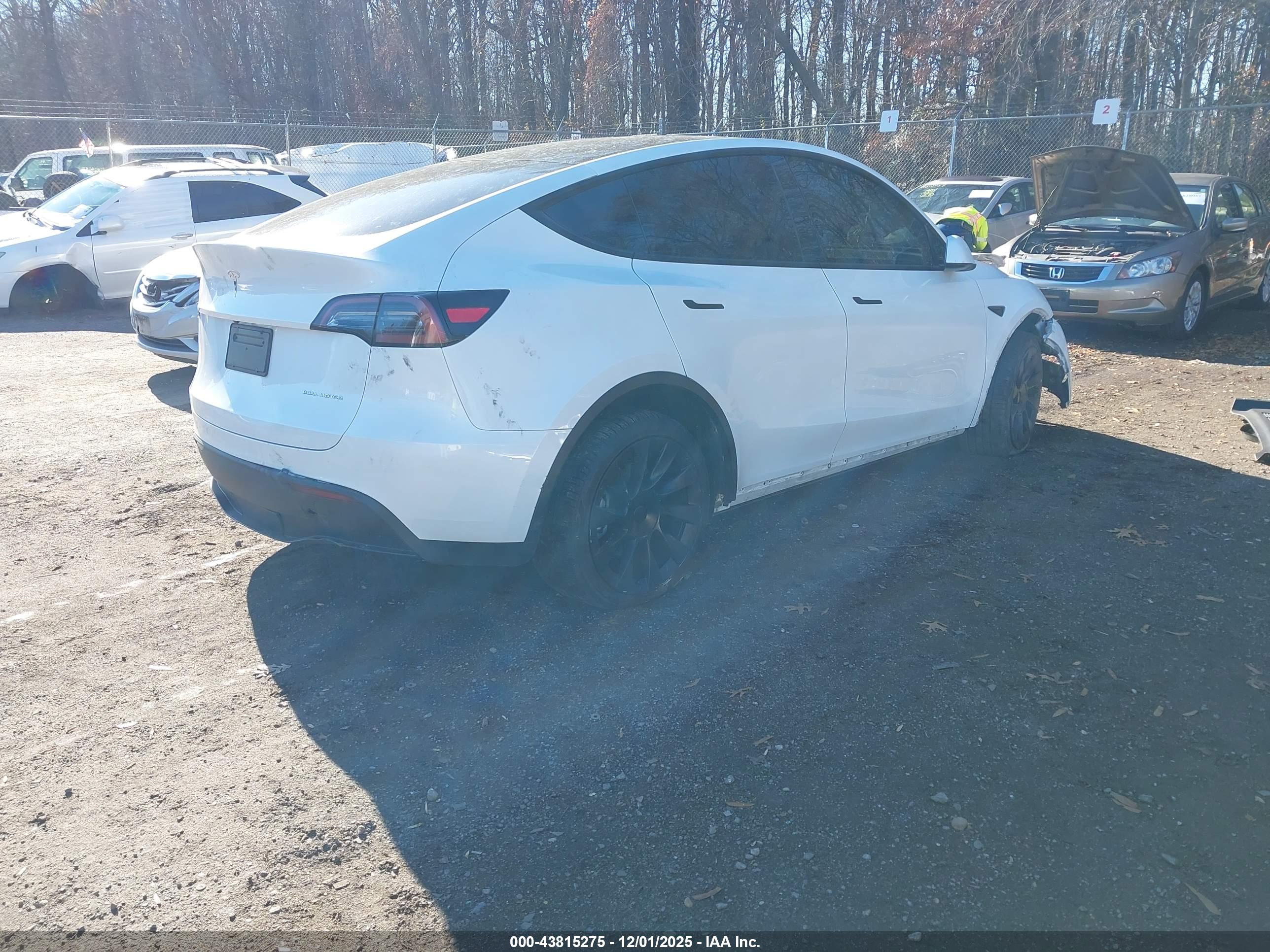 TESLA MODEL image 4