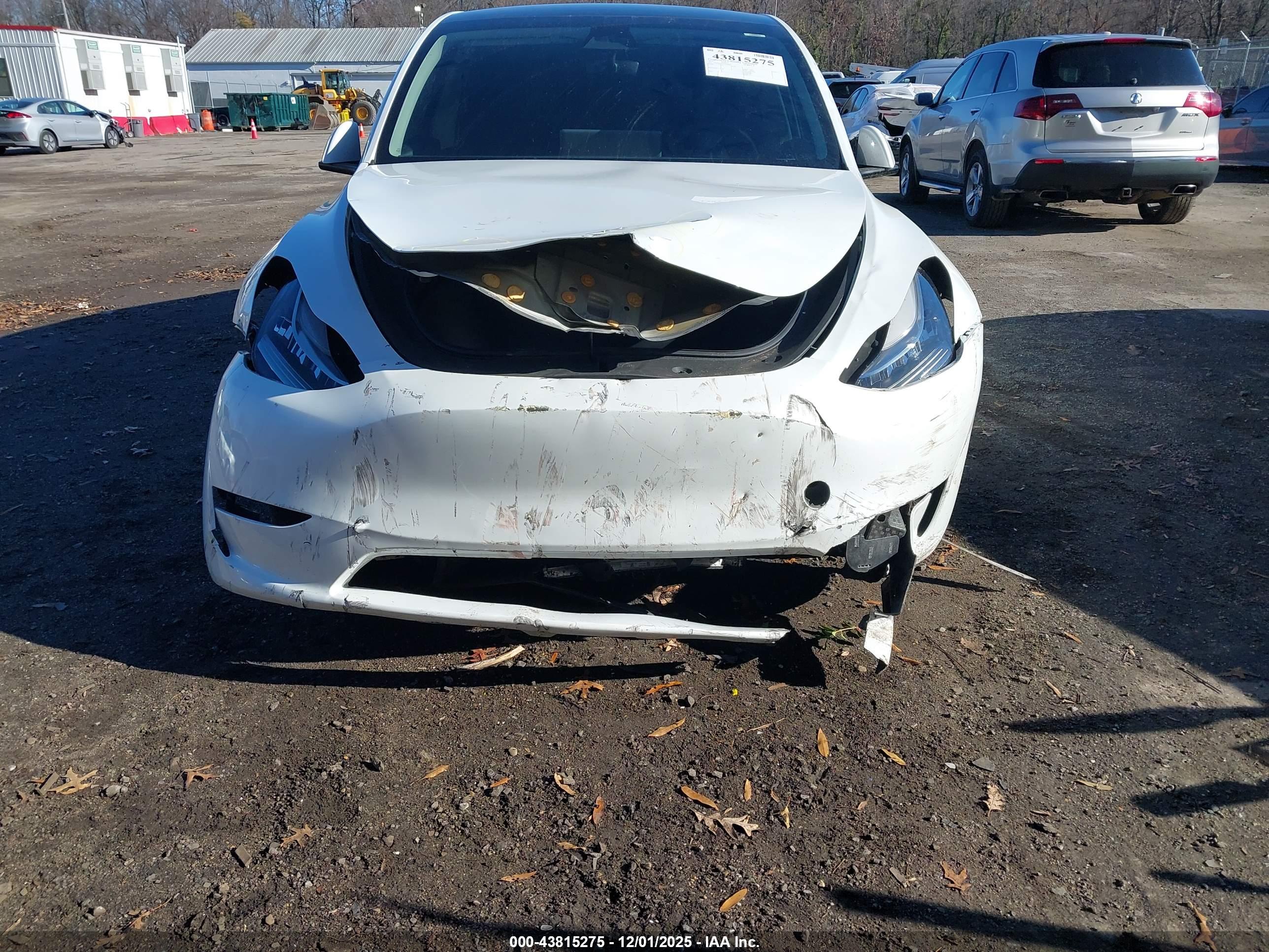 TESLA MODEL image 6
