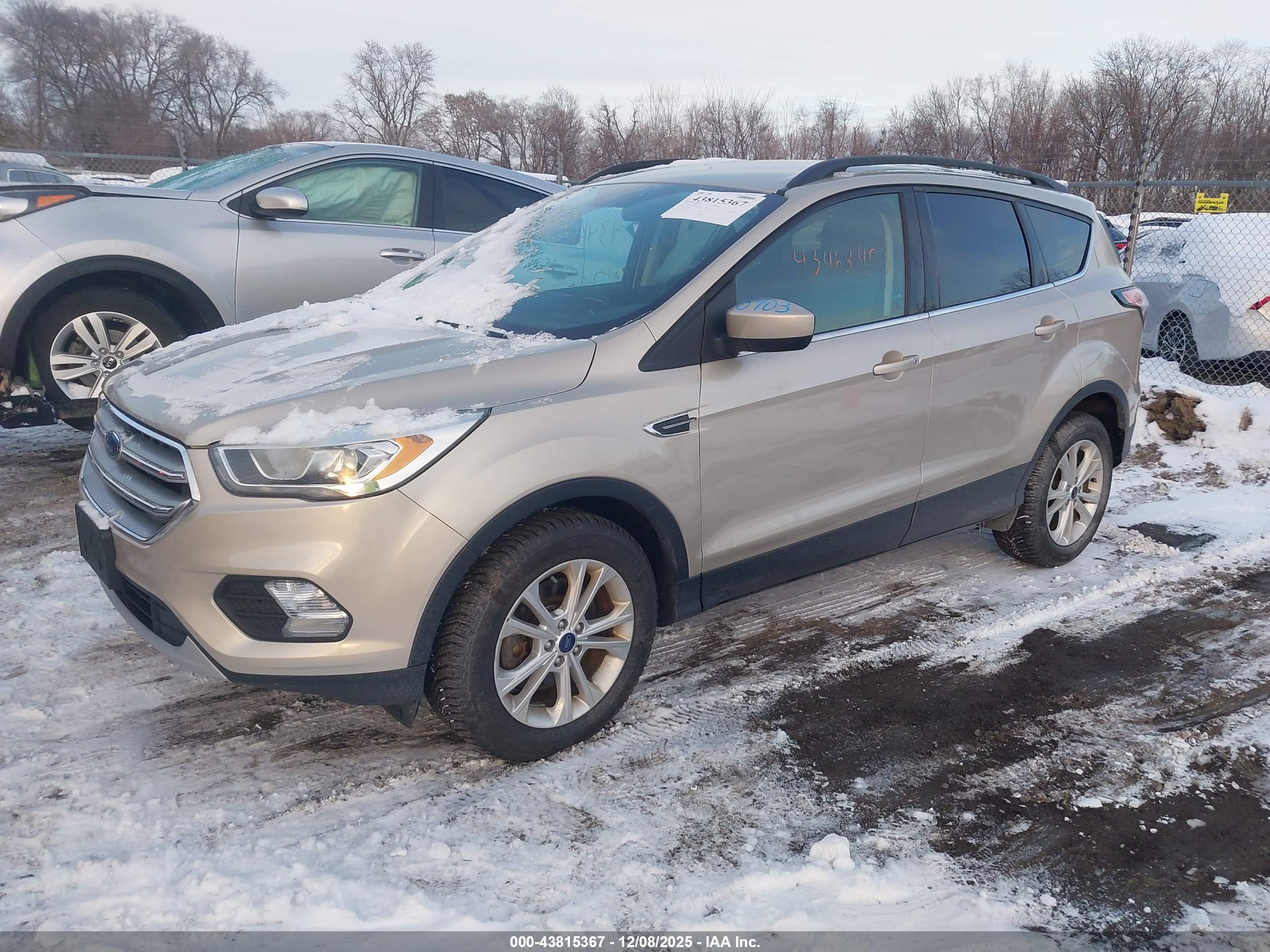 FORD ESCAPE image 2