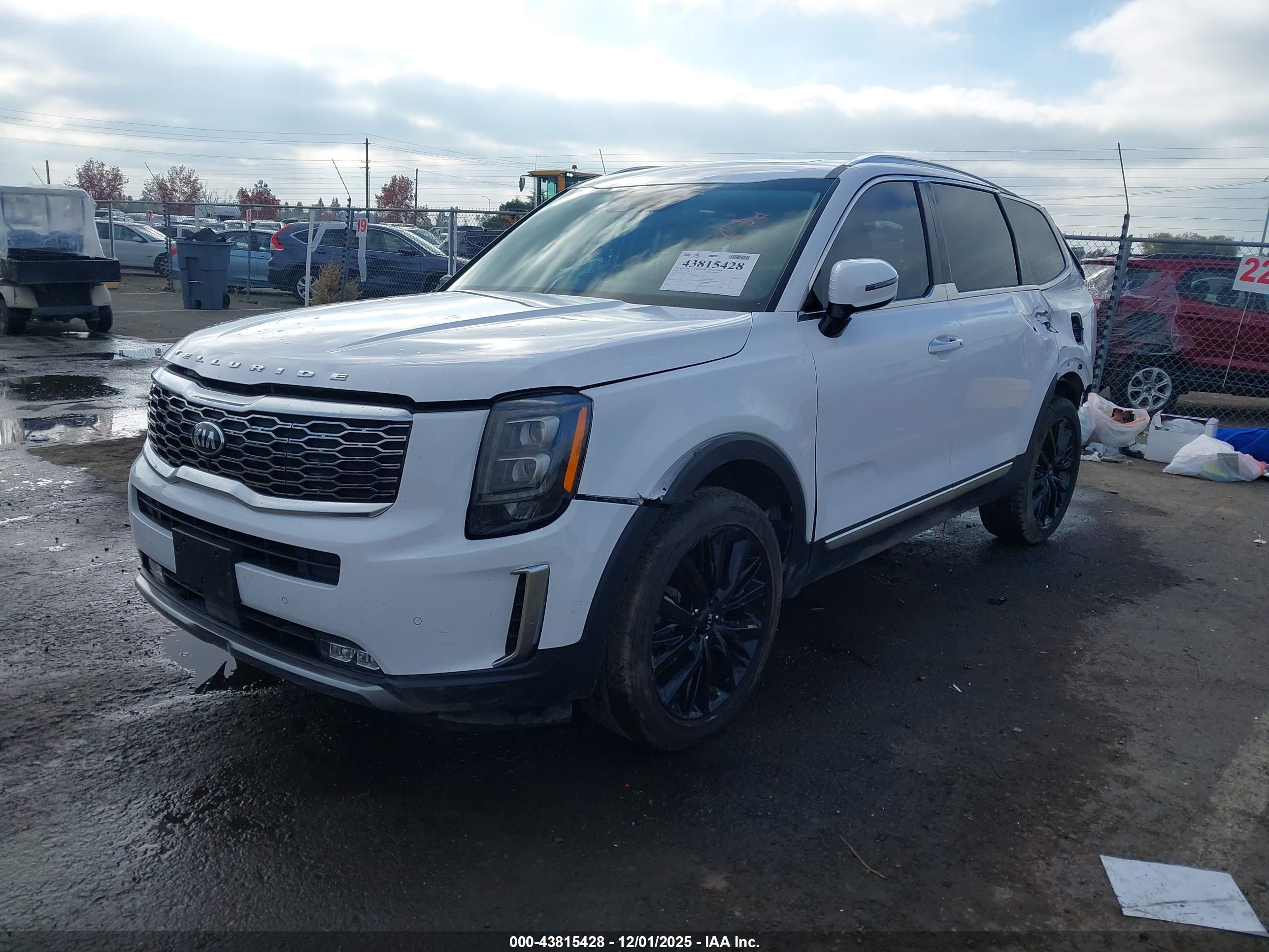 KIA TELLURIDE image 2