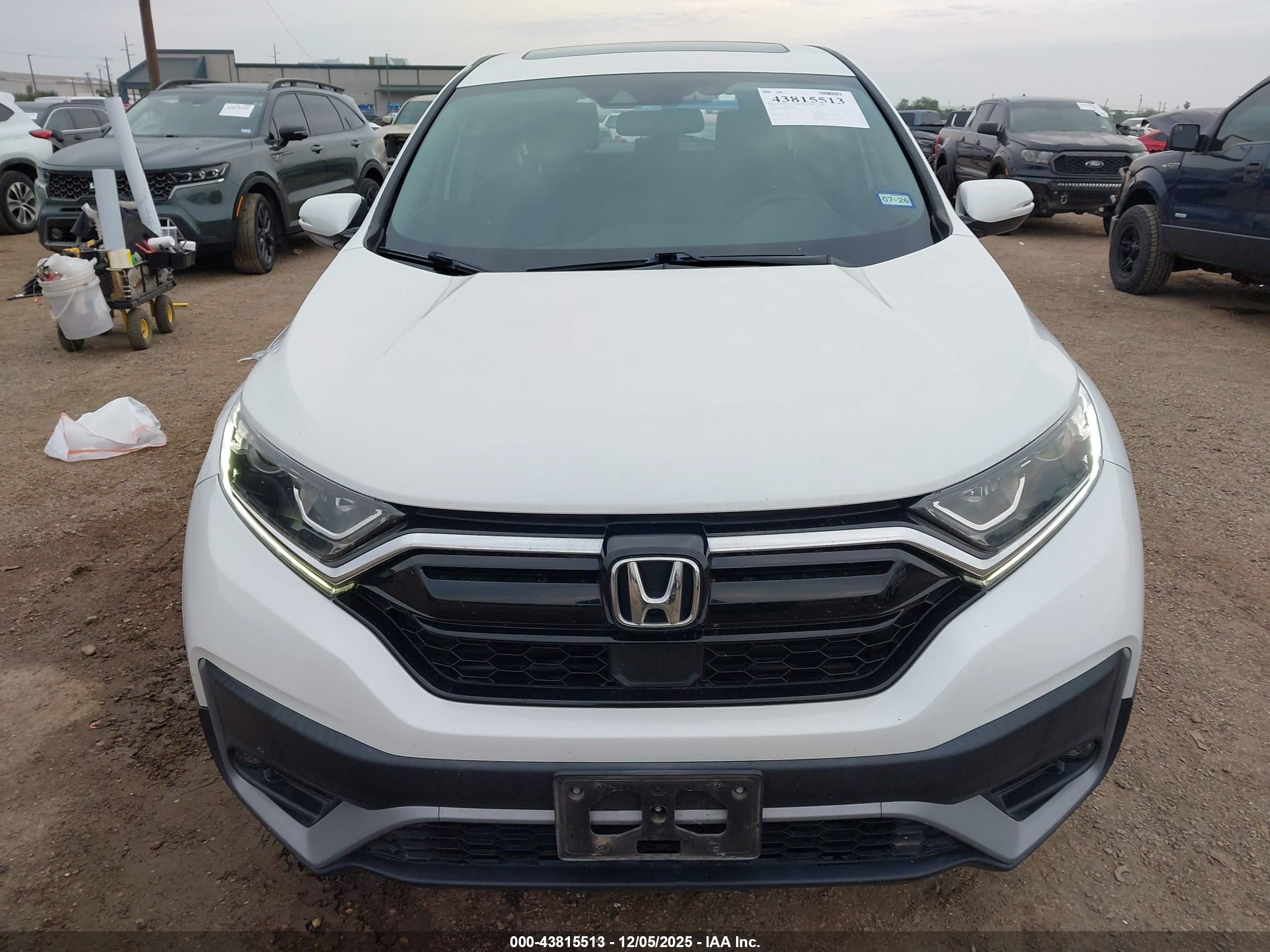 HONDA CR-V image 6