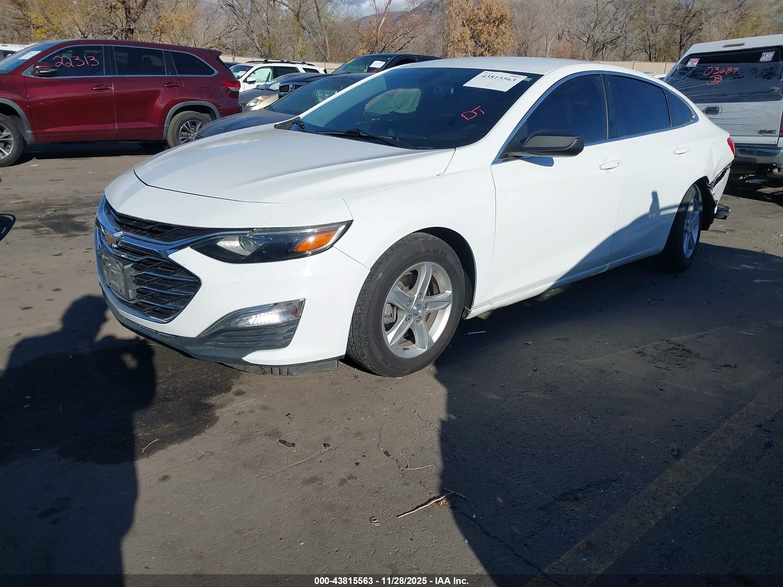 CHEVROLET MALIBU image 2