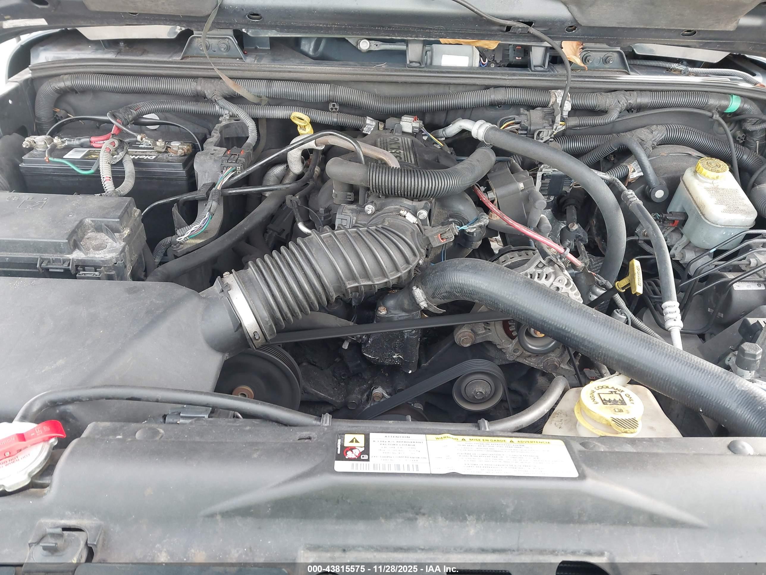 JEEP WRANGLER image 10