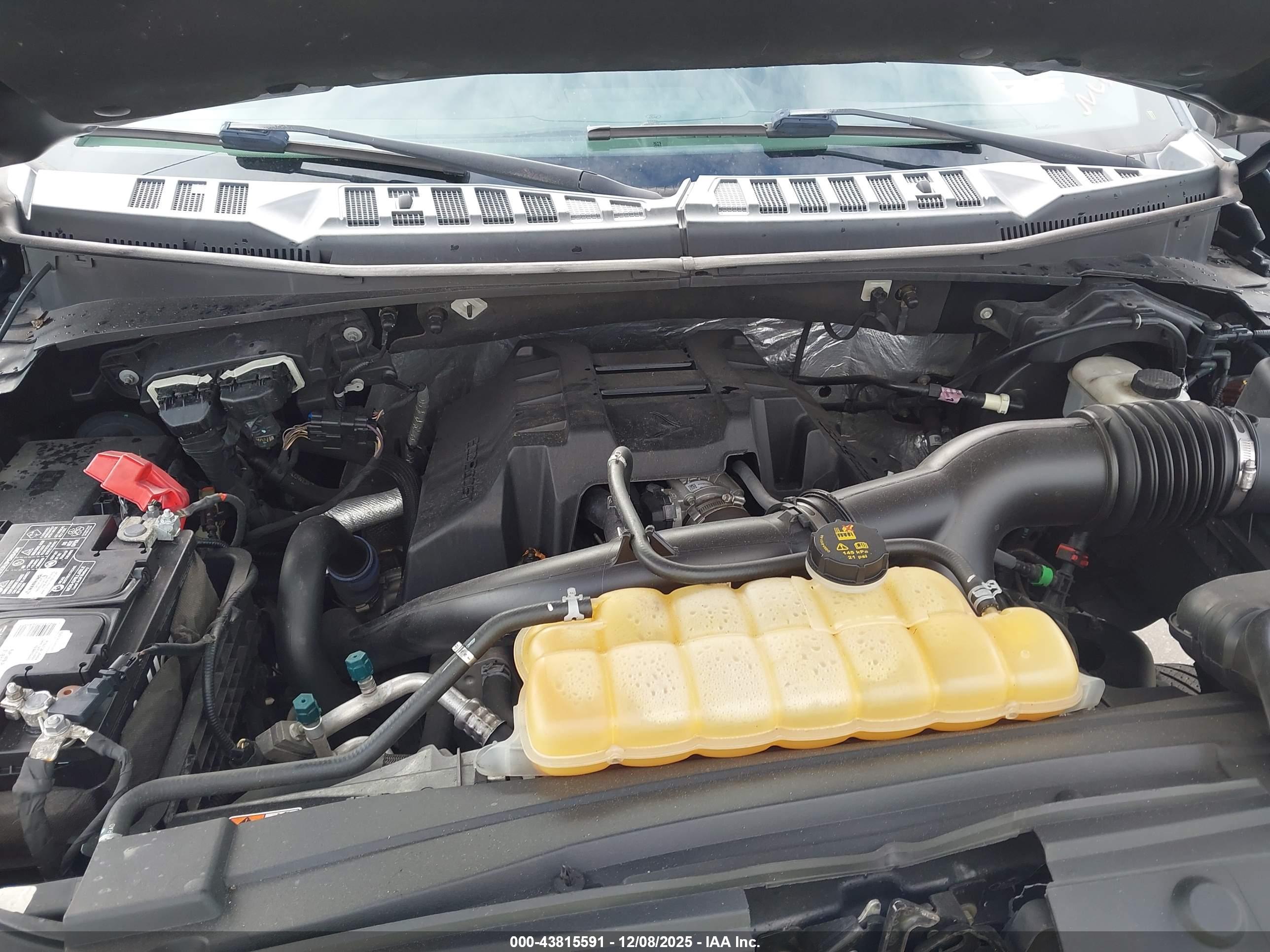 FORD F-150 image 10