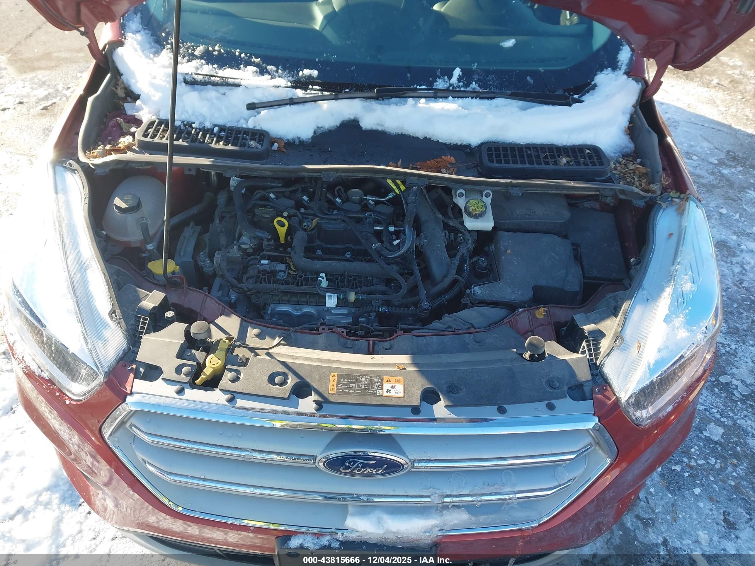 FORD ESCAPE image 10