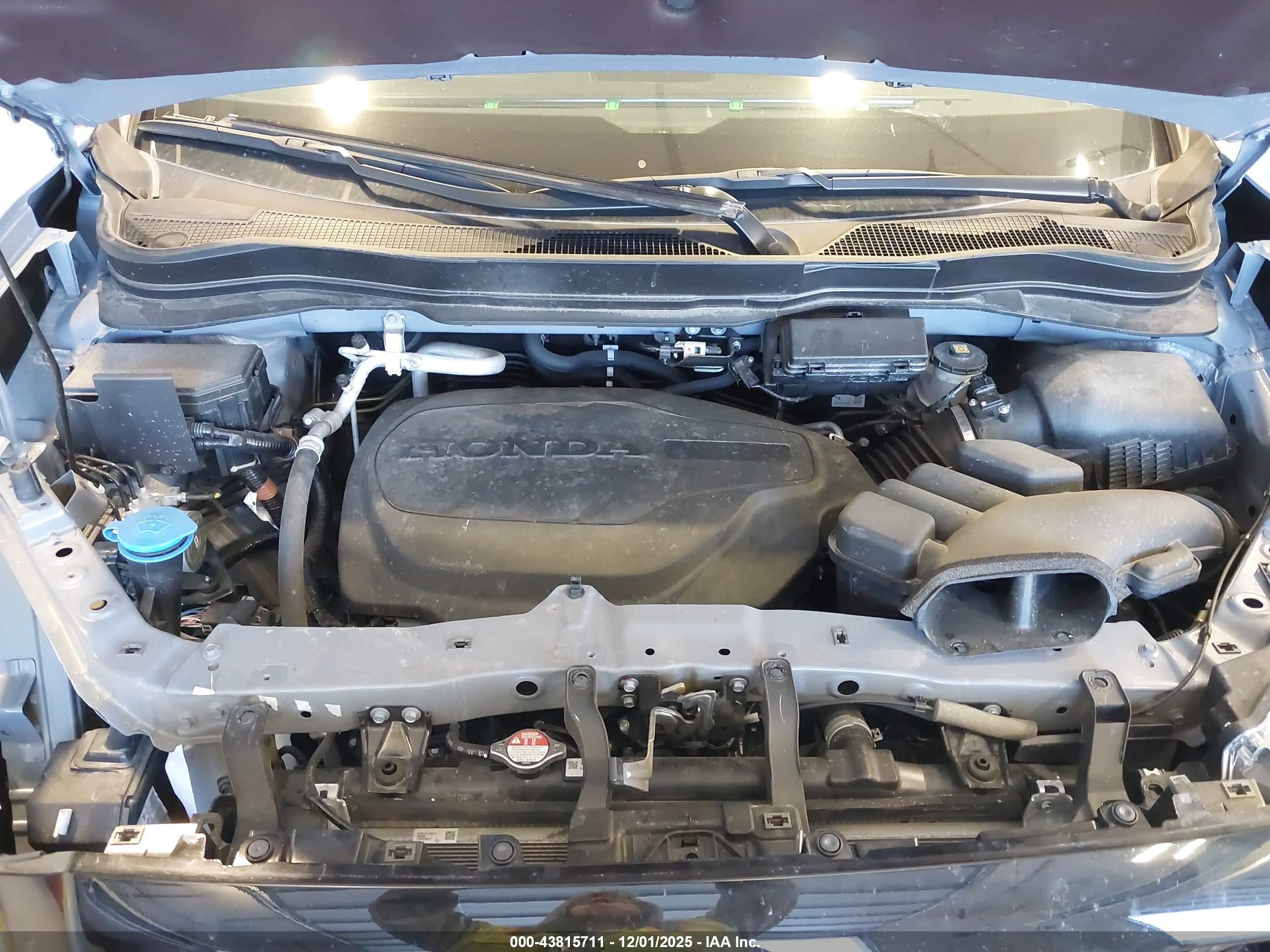 HONDA PASSPORT image 10
