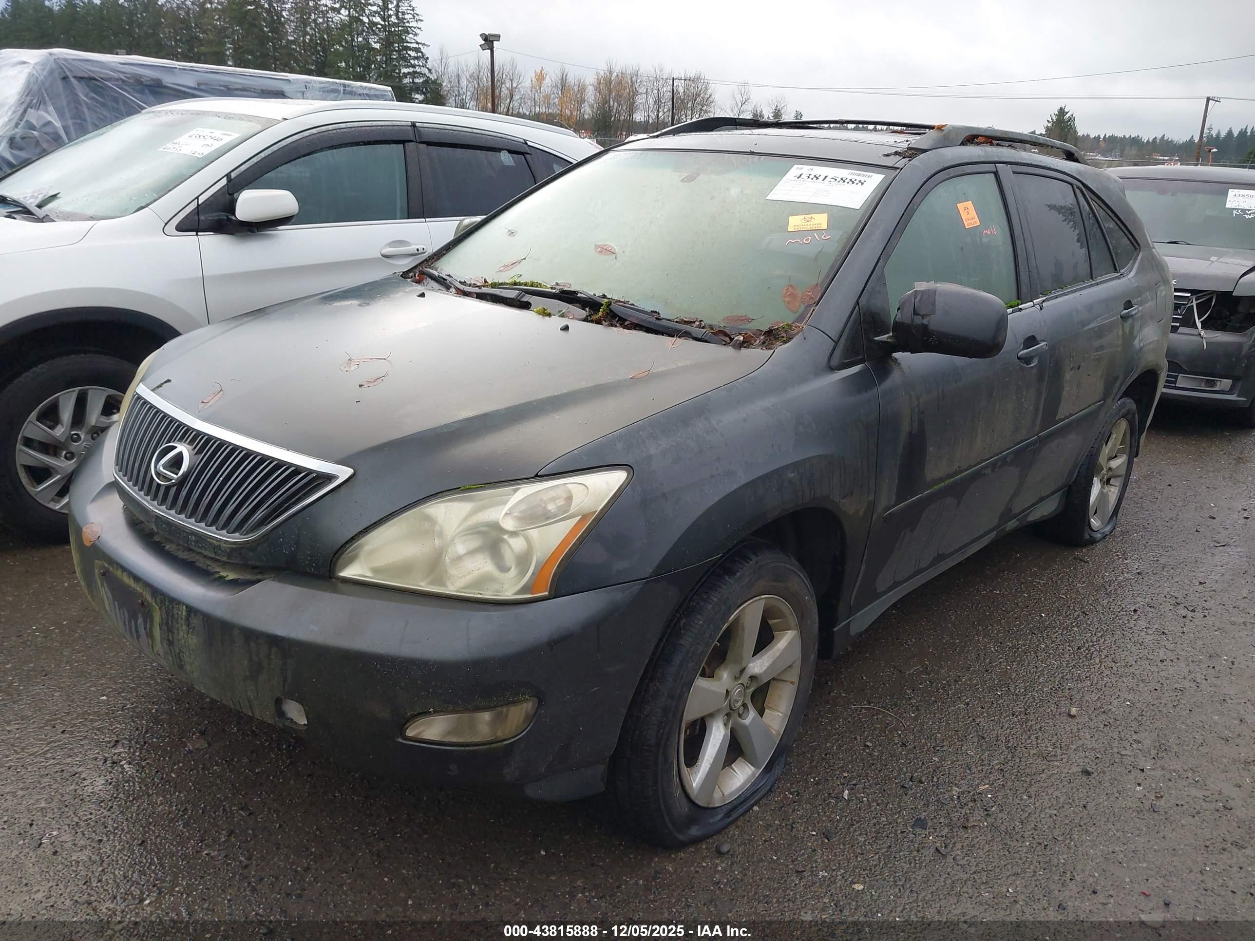 LEXUS 330RX image 2