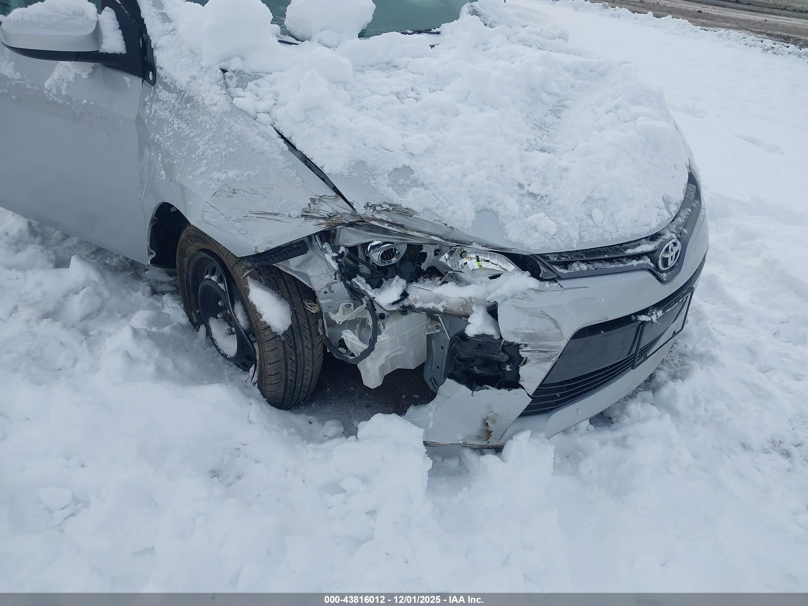 TOYOTA COROLLA image 6