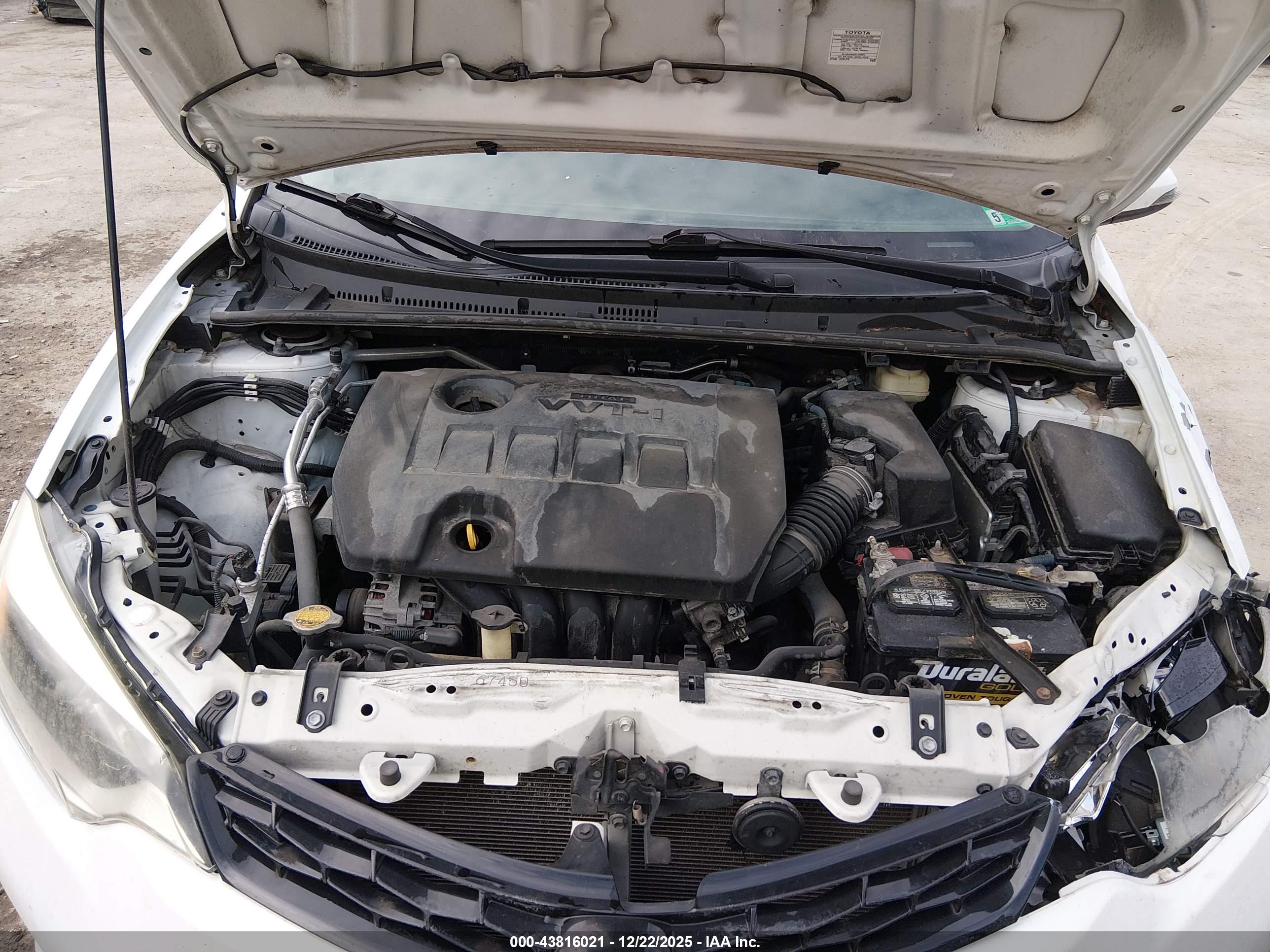 TOYOTA COROLLA image 10