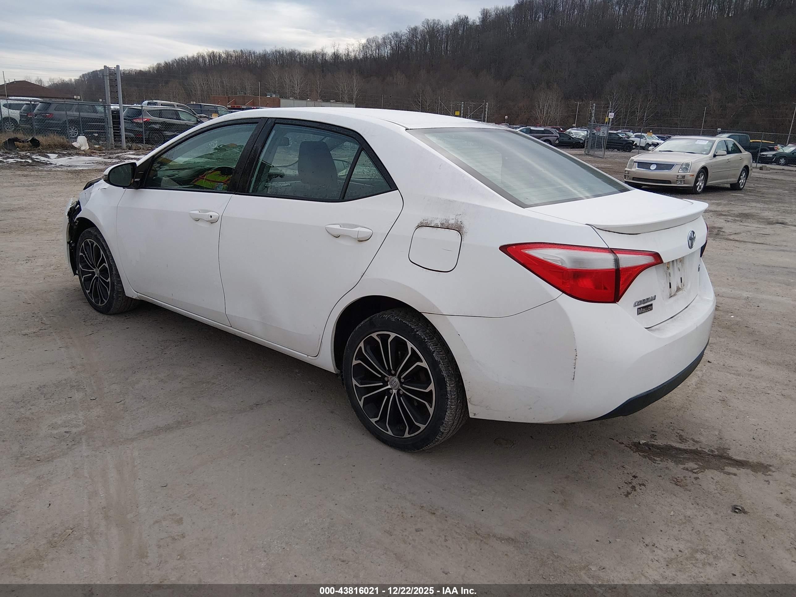 TOYOTA COROLLA image 3