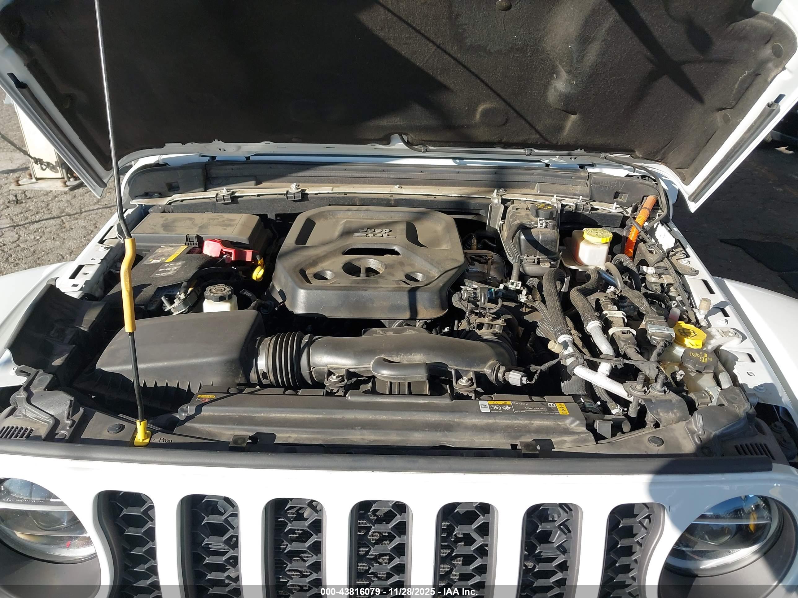 JEEP WRANGLER image 10