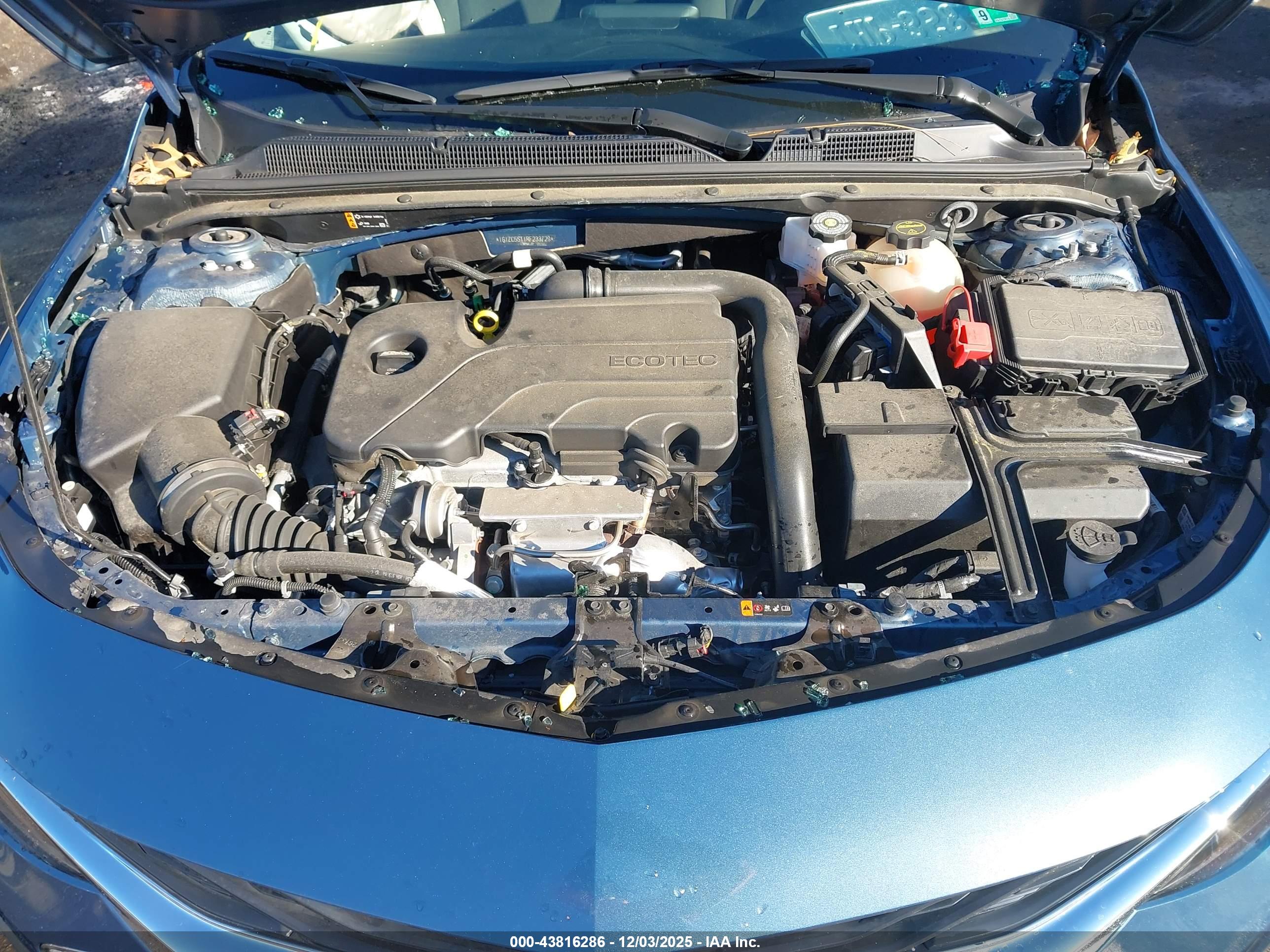 CHEVROLET MALIBU image 10