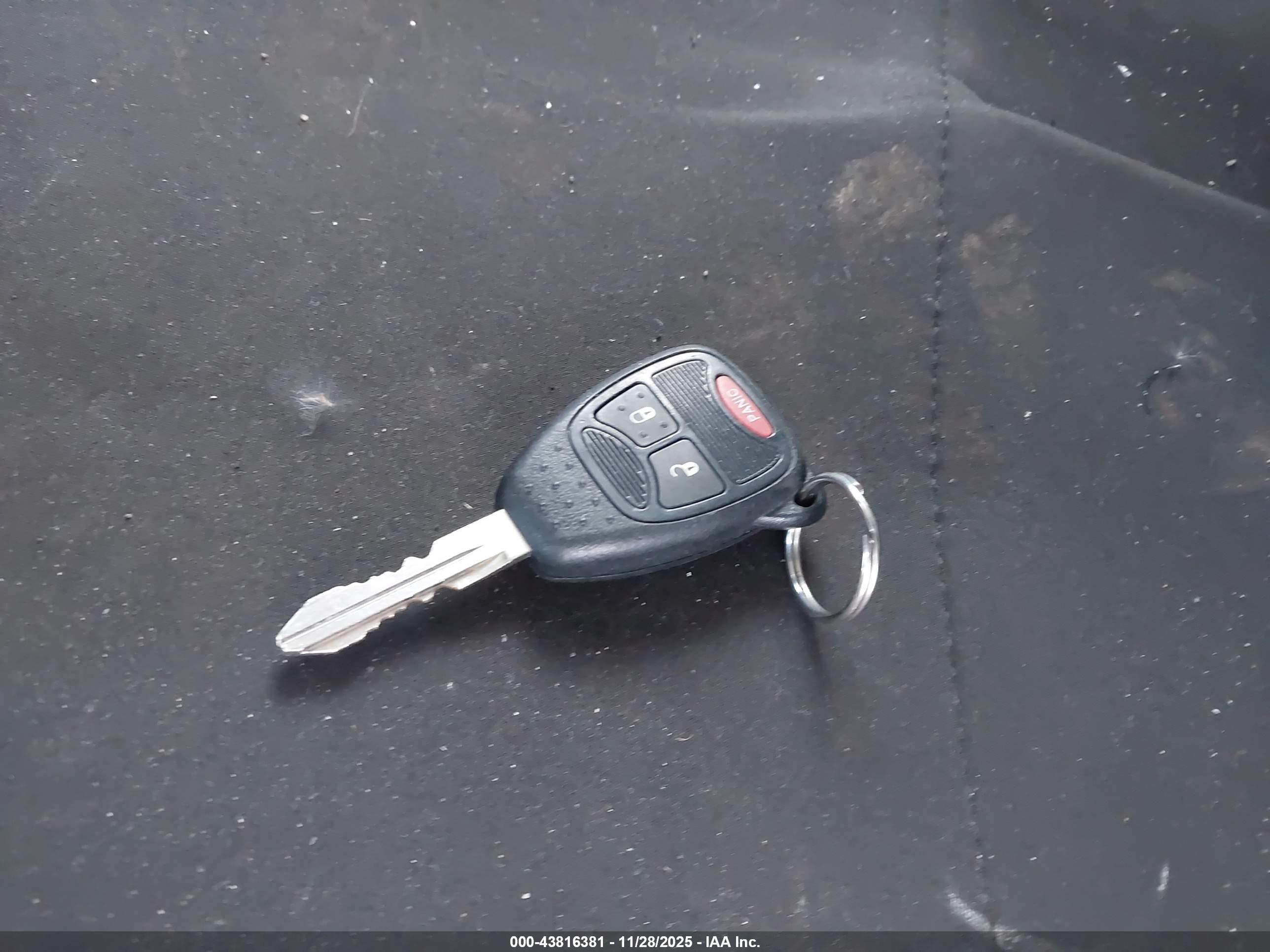JEEP WRANGLER image 11