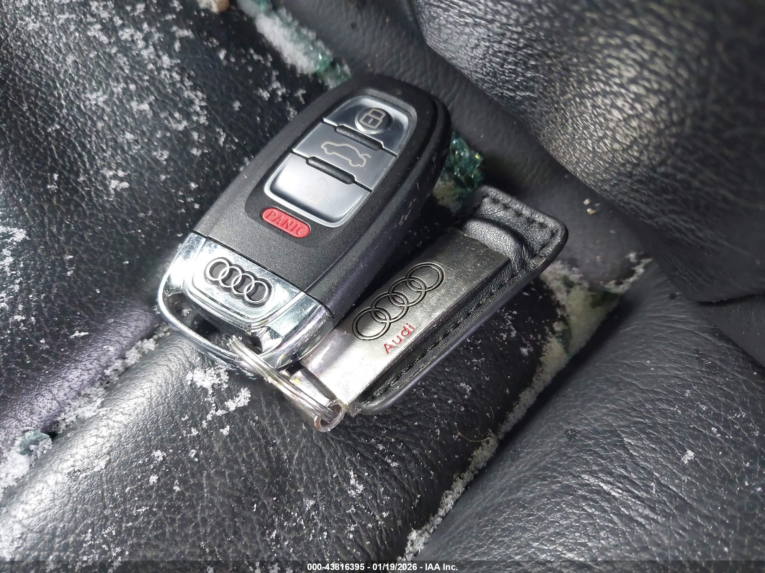 AUDI Q5 image 11
