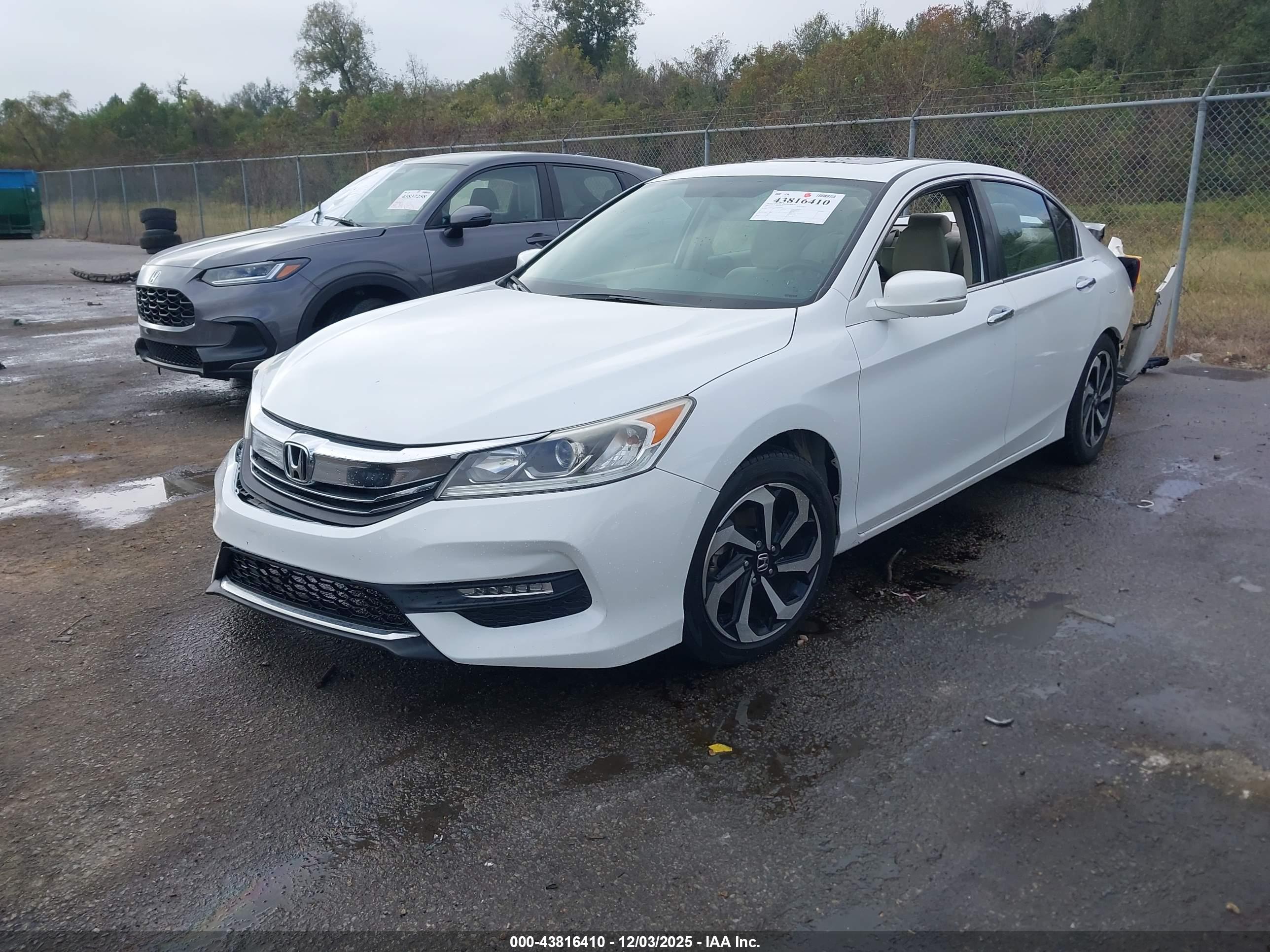 HONDA ACCORD image 2
