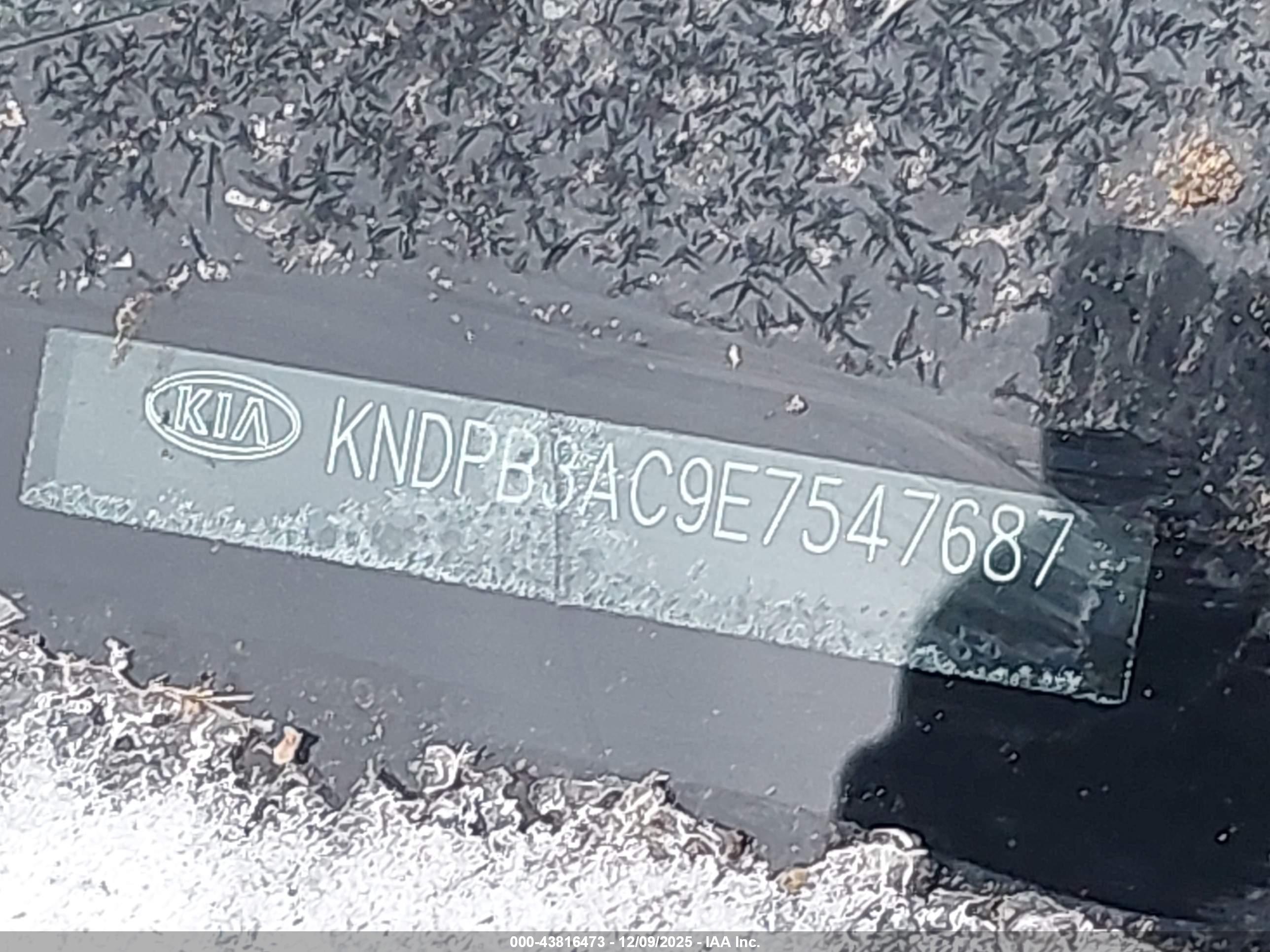 KIA SPORTAGE image 9