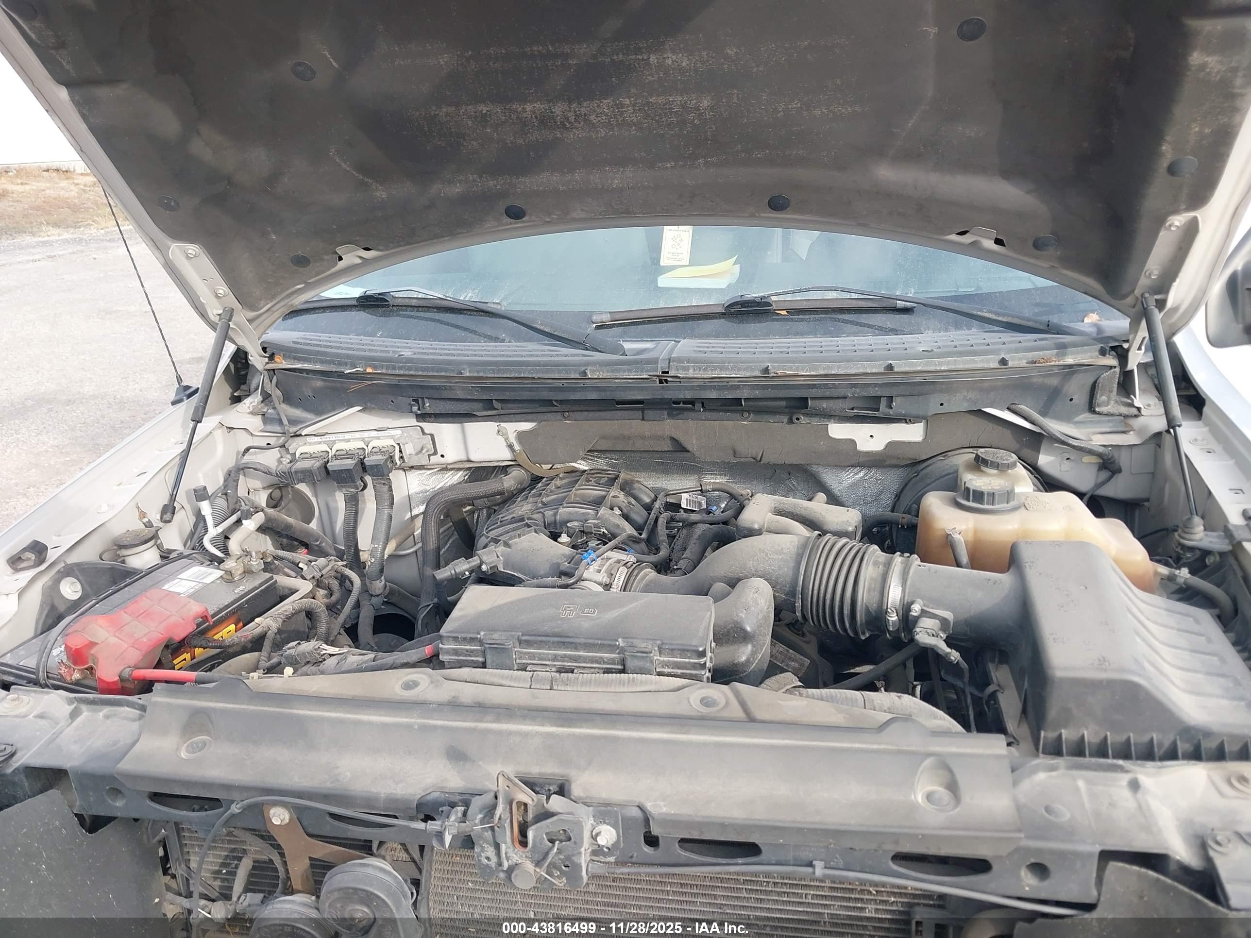 FORD F-150 image 10